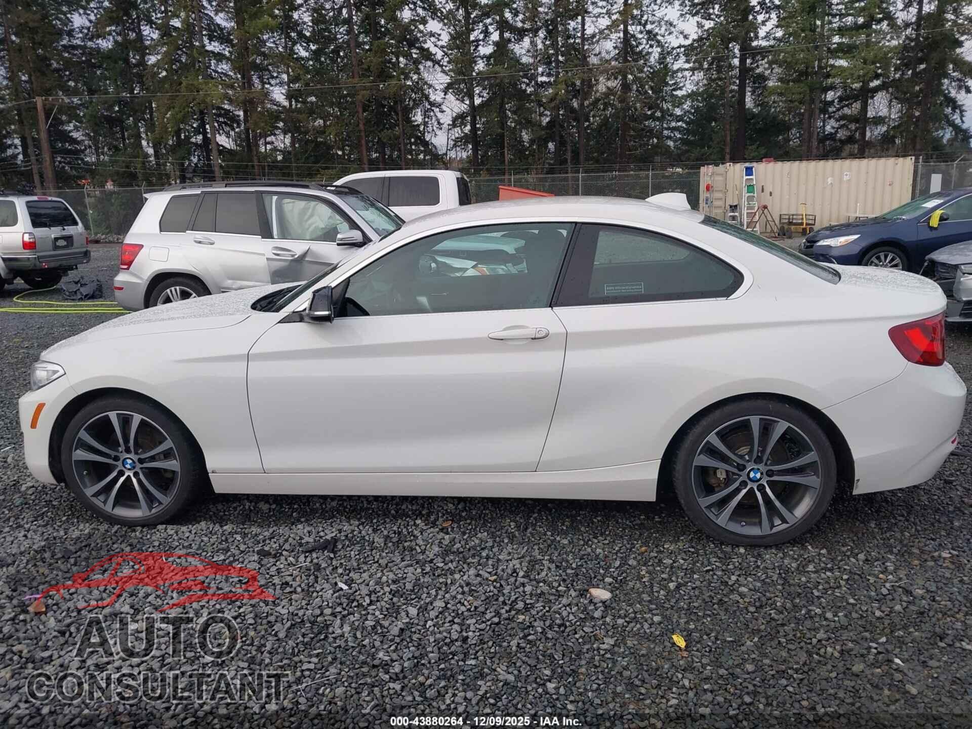 BMW 228I 2015 - WBA1F9C52FVW98585