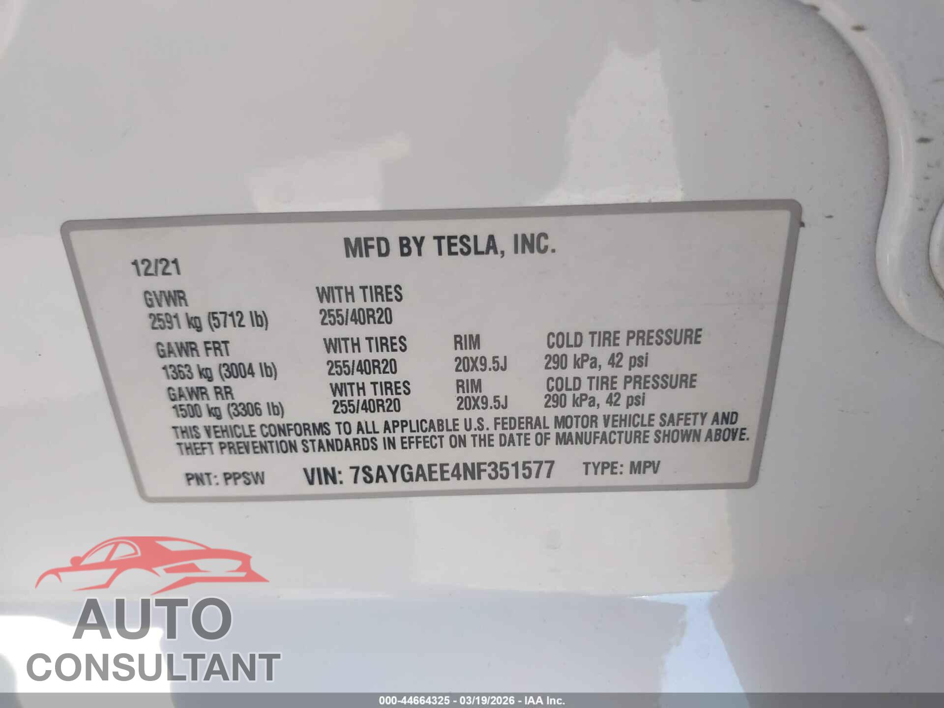 TESLA MODEL Y 2022 - 7SAYGAEE4NF351577