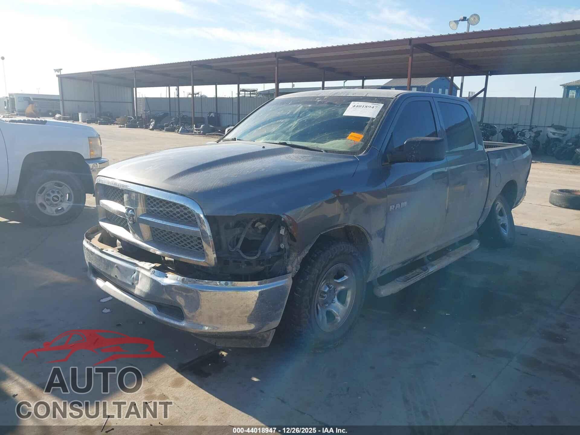 DODGE RAM 1500 2010 - 1D7RB1CP7AS250816