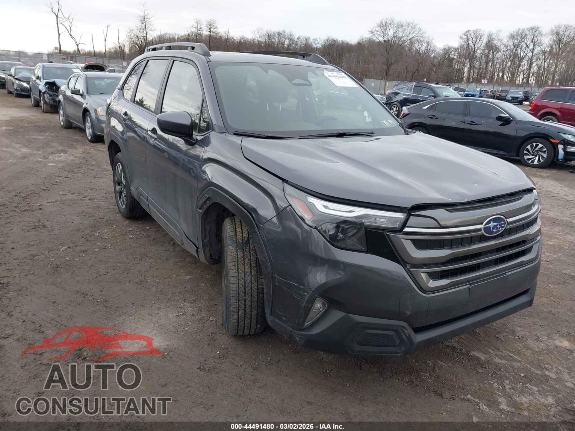 SUBARU FORESTER 2025 - JF2SLDDC9SH559967