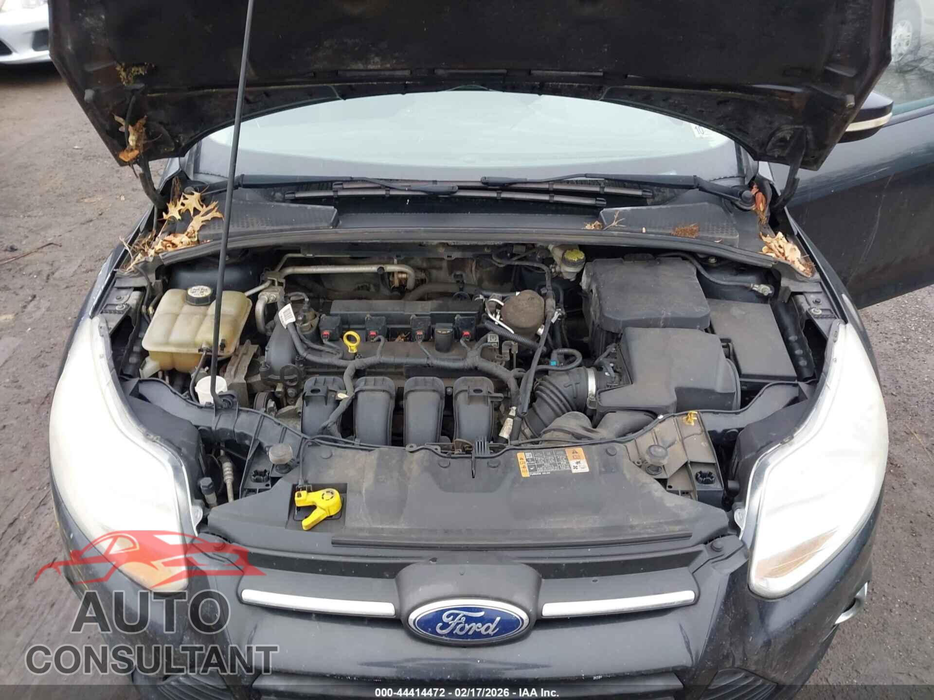 FORD FOCUS 2014 - 1FADP3K28EL424566