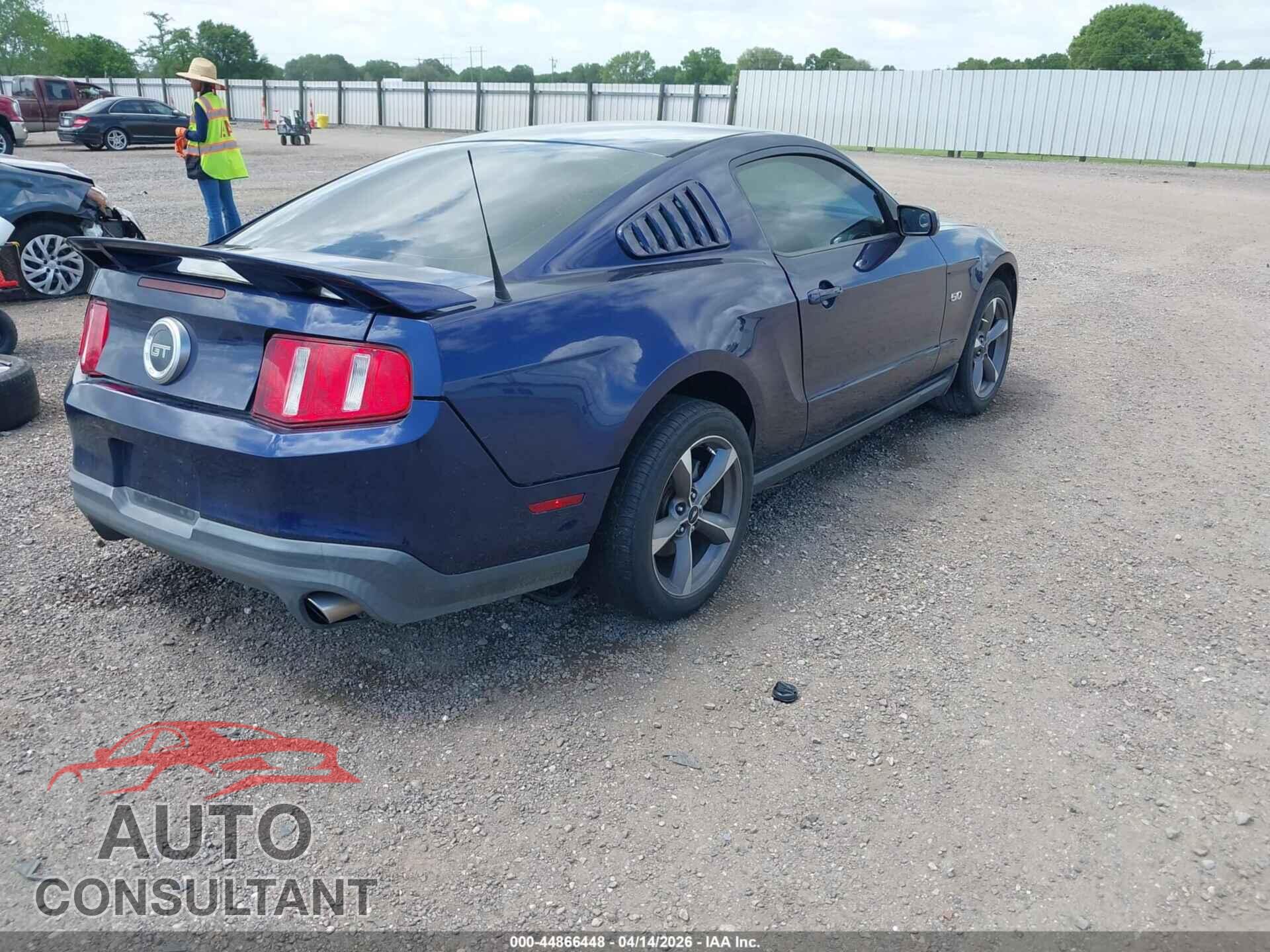 FORD MUSTANG 2011 - 1ZVBP8CF6B5155934