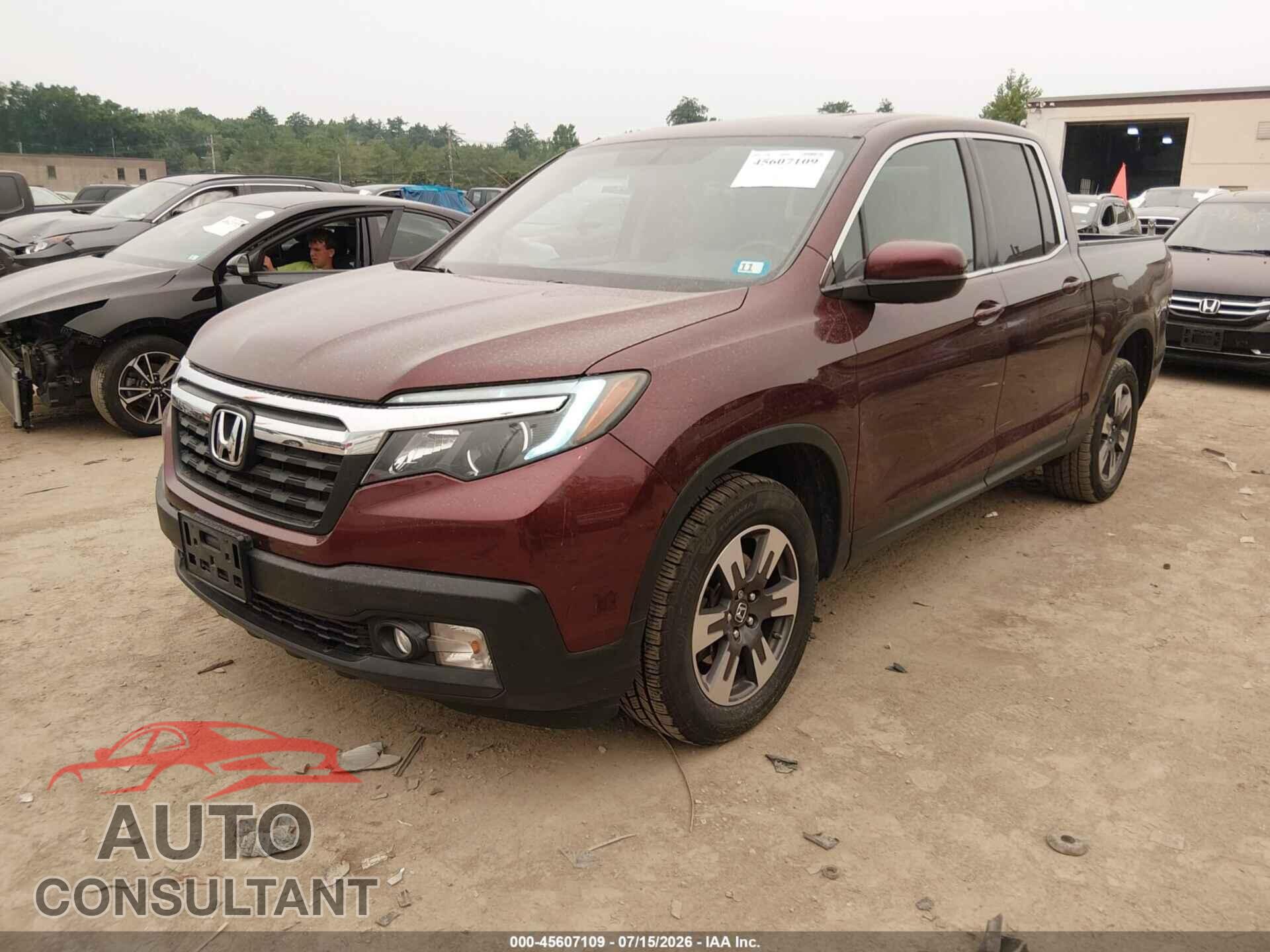 HONDA RIDGELINE 2019 - 5FPYK3F61KB019727
