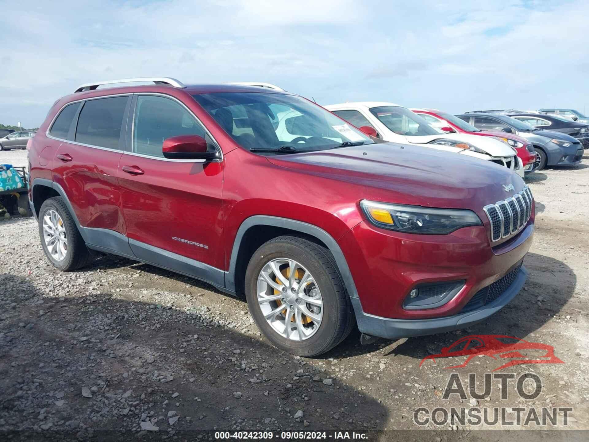 JEEP CHEROKEE 2019 - 1C4PJLCB7KD358492
