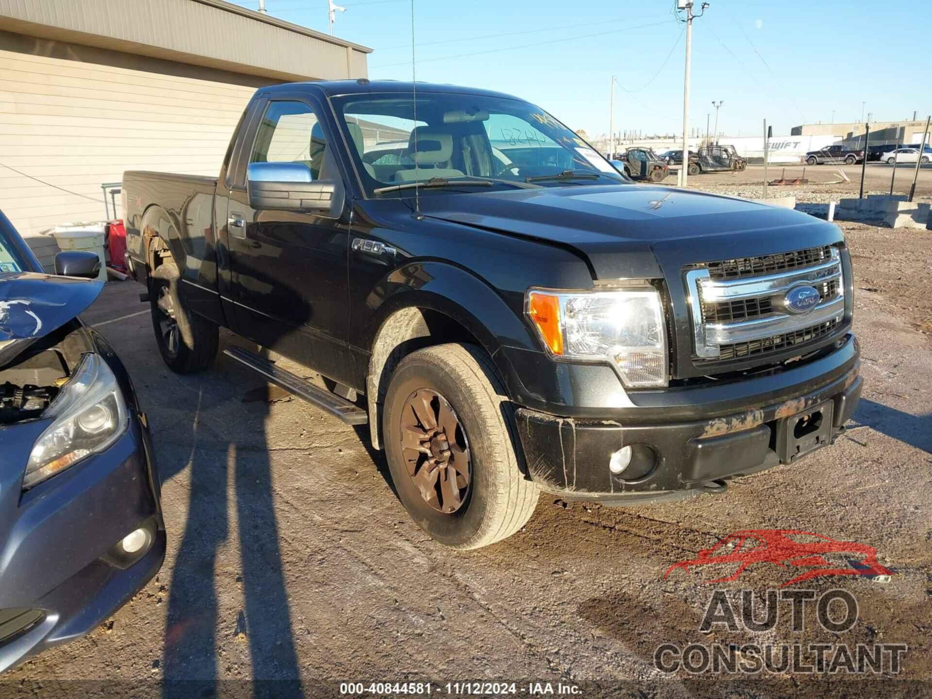 FORD F-150 2013 - 1FTMF1EM4DKD87292