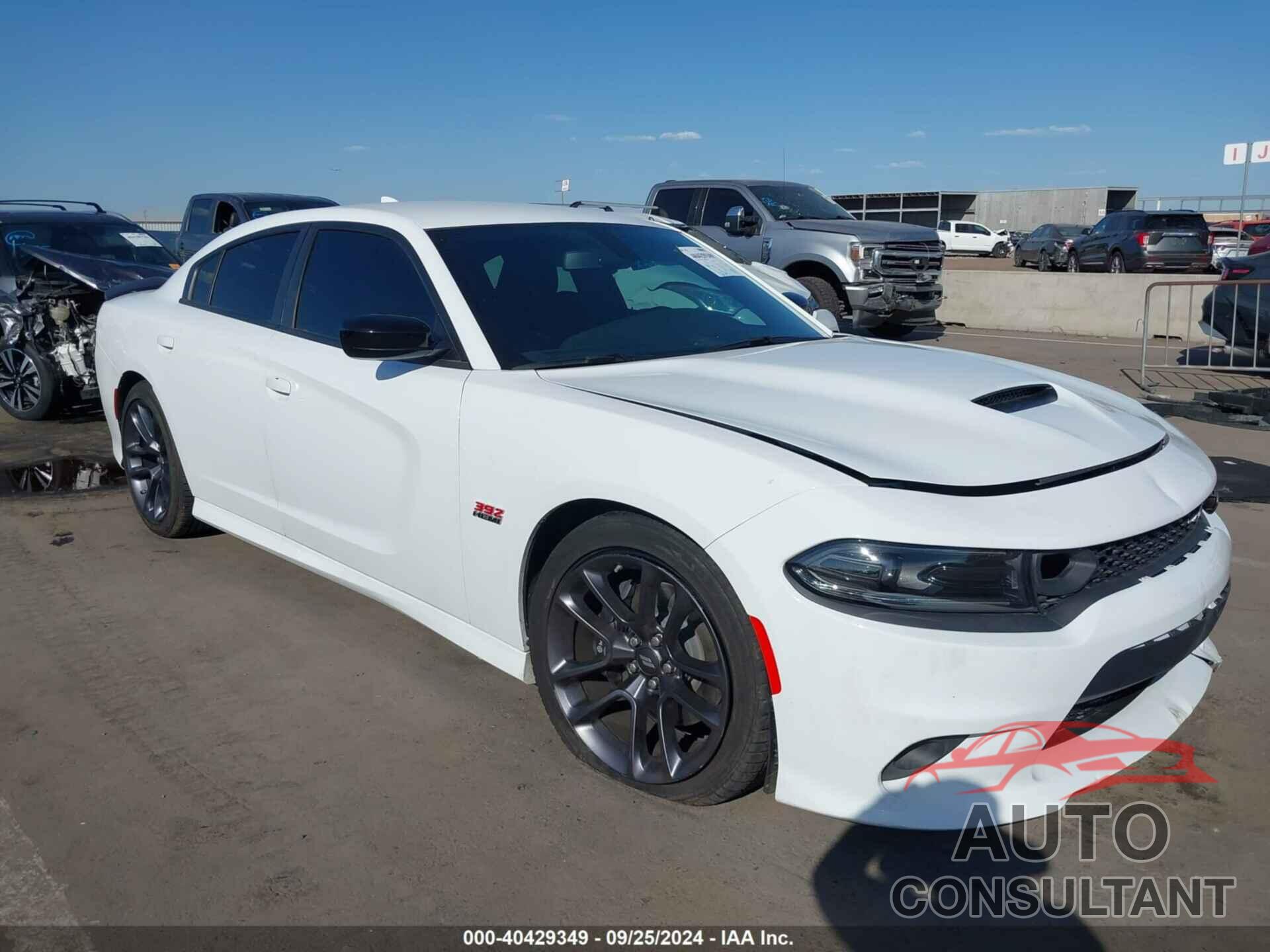 DODGE CHARGER 2023 - 2C3CDXGJ7PH663990