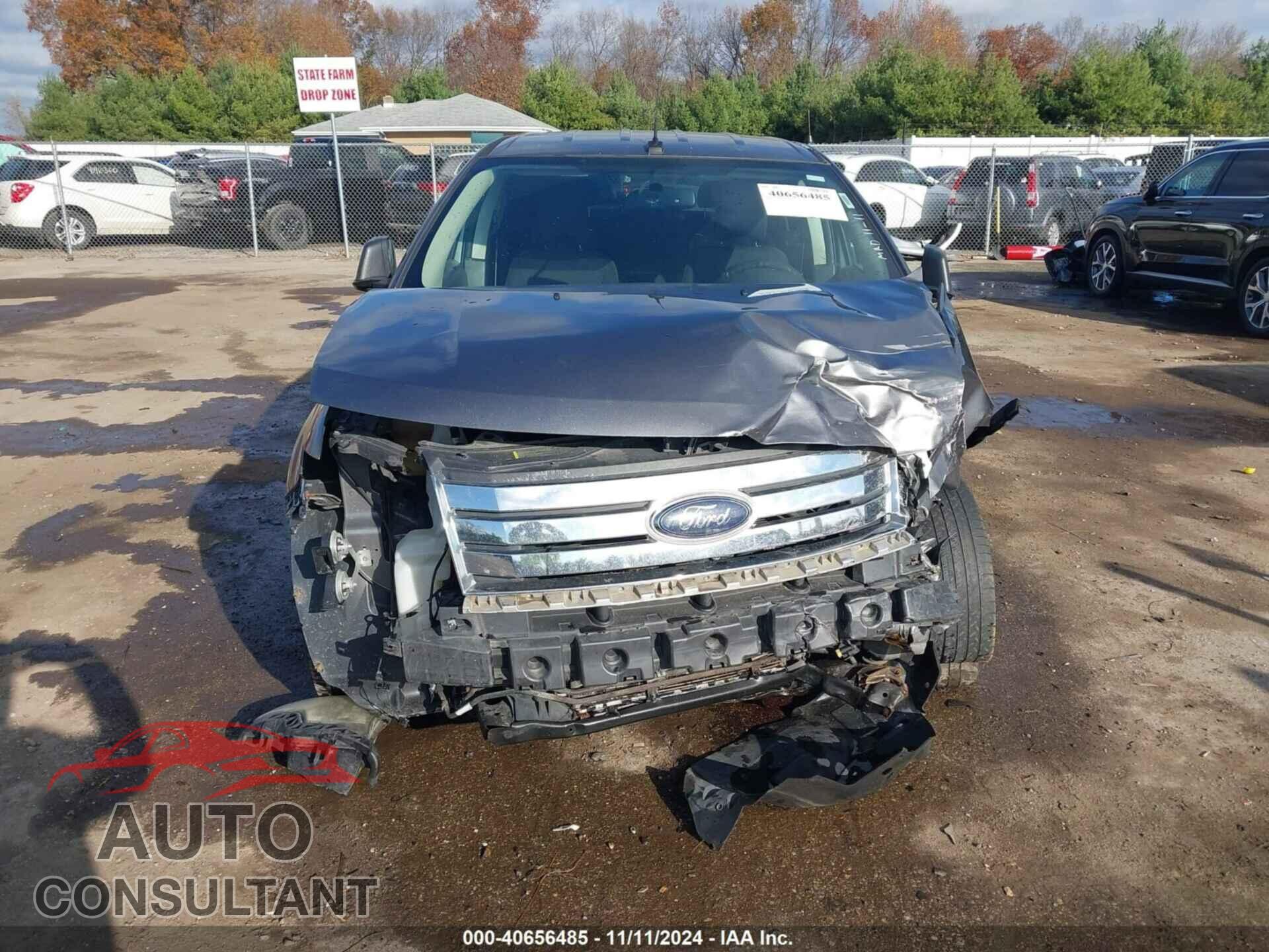 FORD EDGE 2009 - 2FMDK36C89BA60128