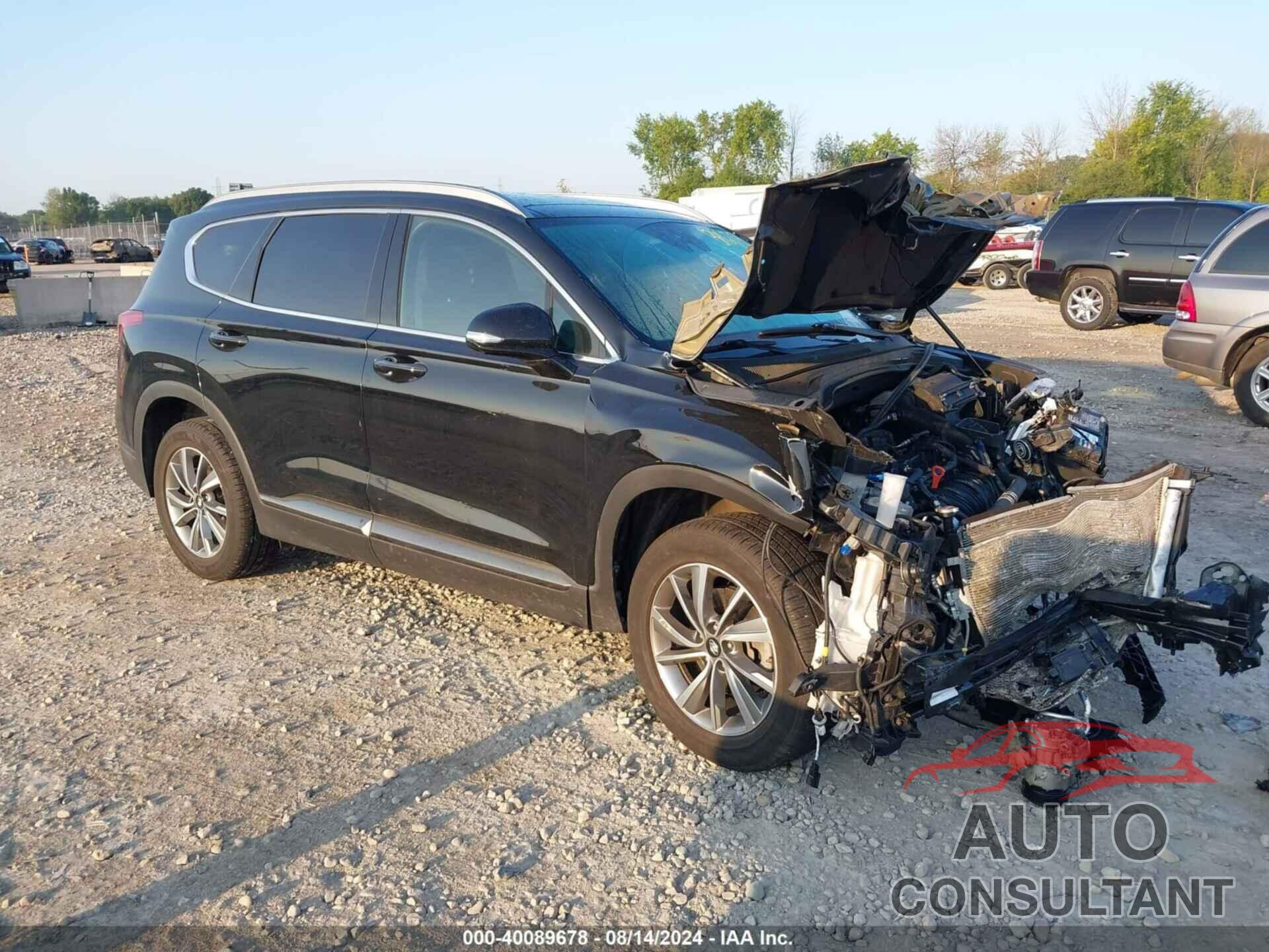 HYUNDAI SANTA FE 2019 - 5NMS5CADXKH134336