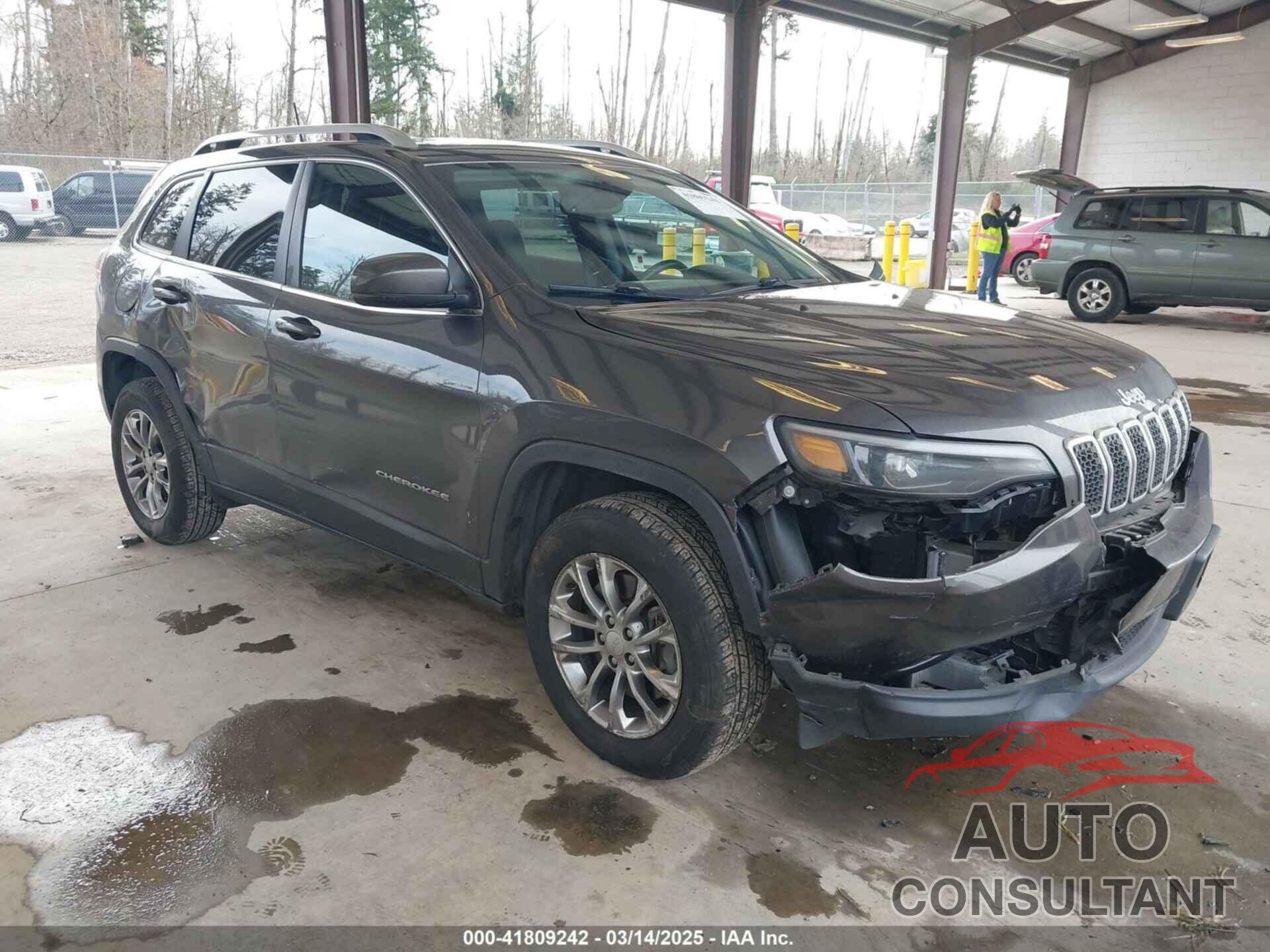 JEEP CHEROKEE 2019 - 1C4PJMLX0KD108416