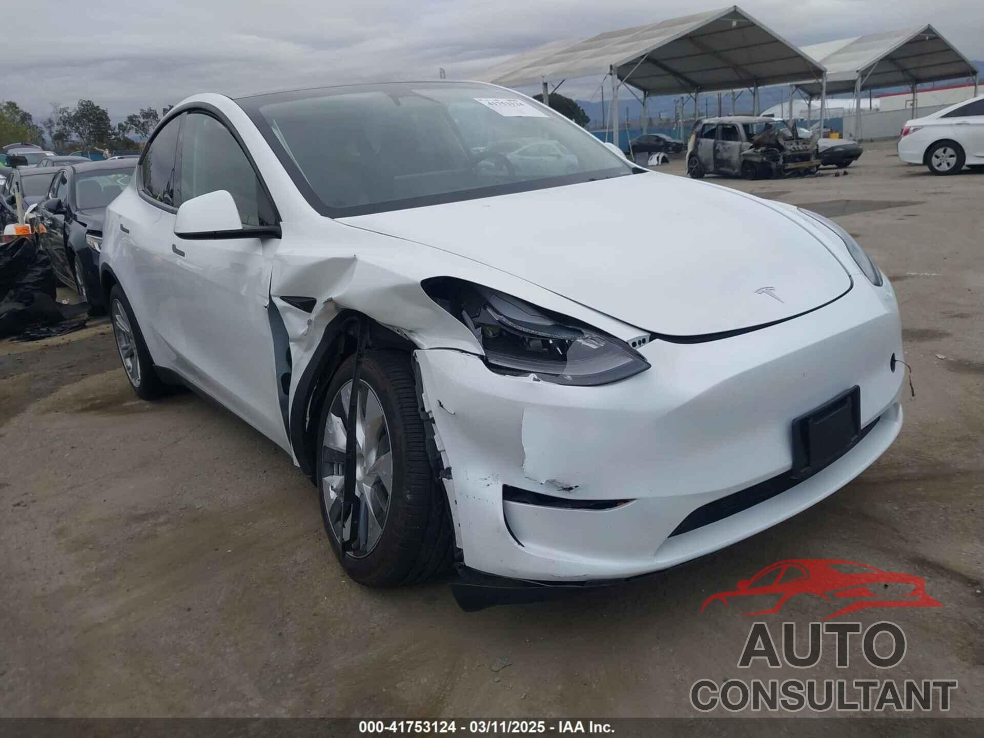 TESLA MODEL Y 2024 - 7SAYGDEE3RA232293