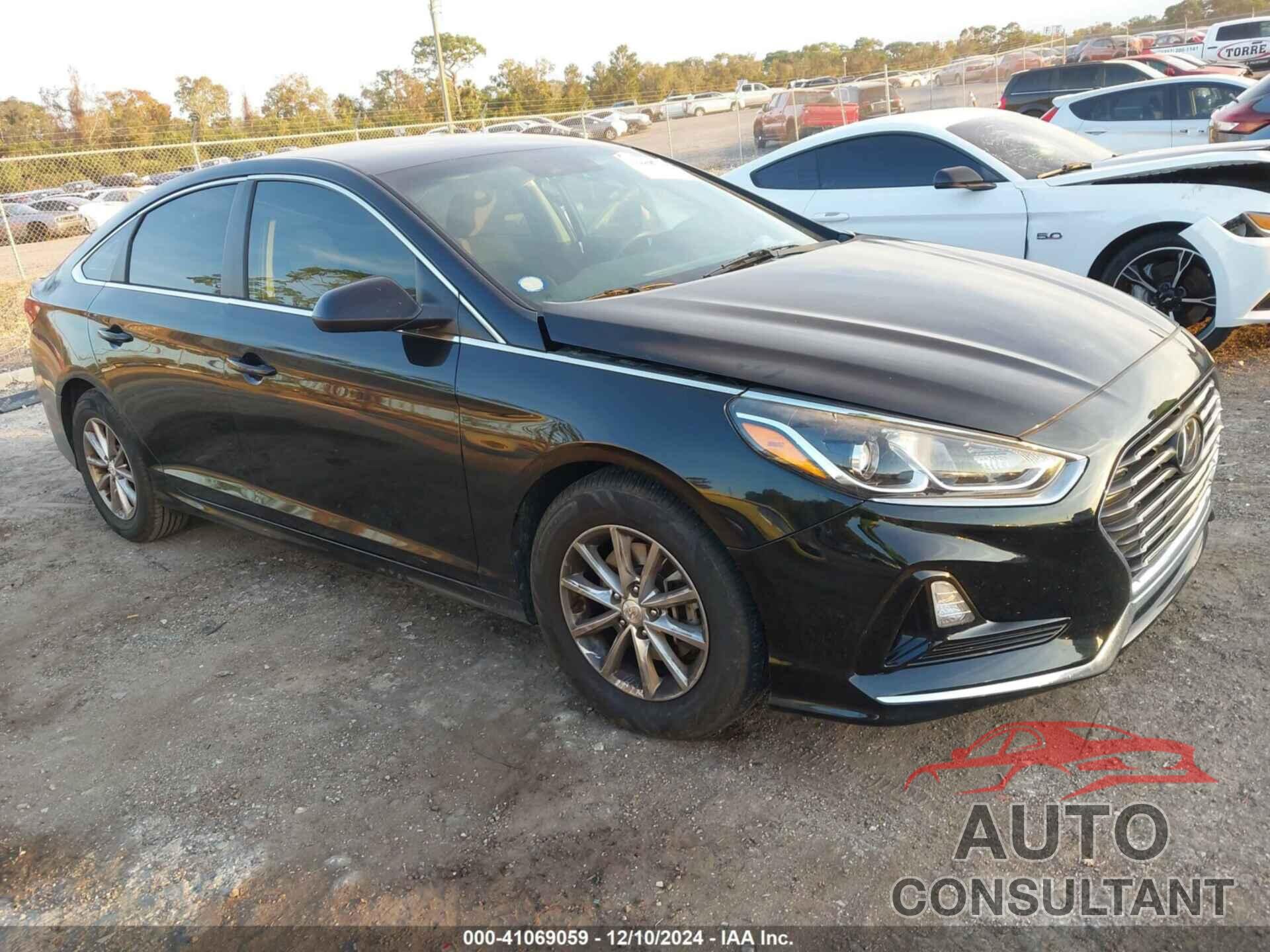 HYUNDAI SONATA 2019 - 5NPE24AF4KH766829