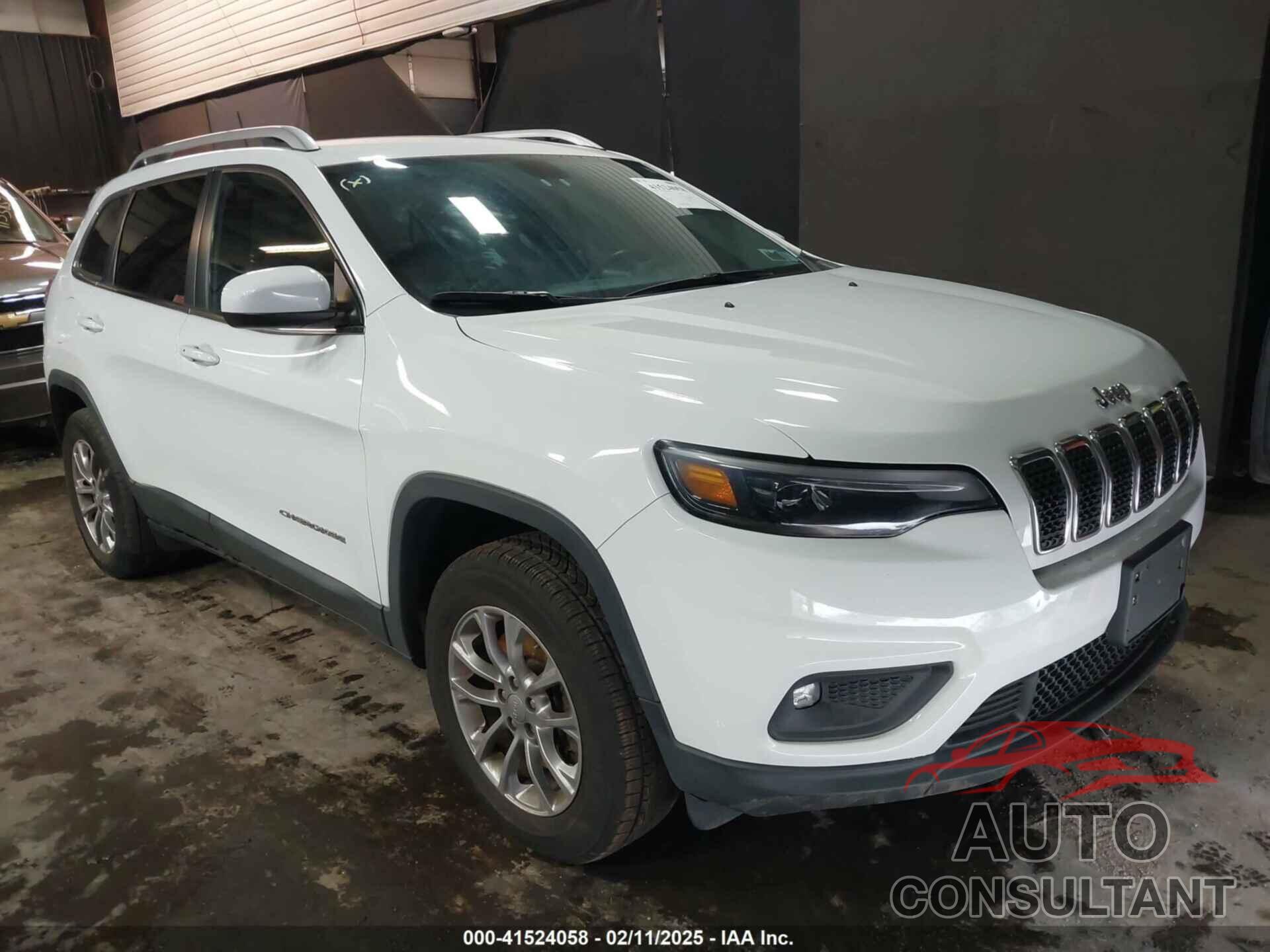 JEEP CHEROKEE 2019 - 1C4PJMLX4KD232091