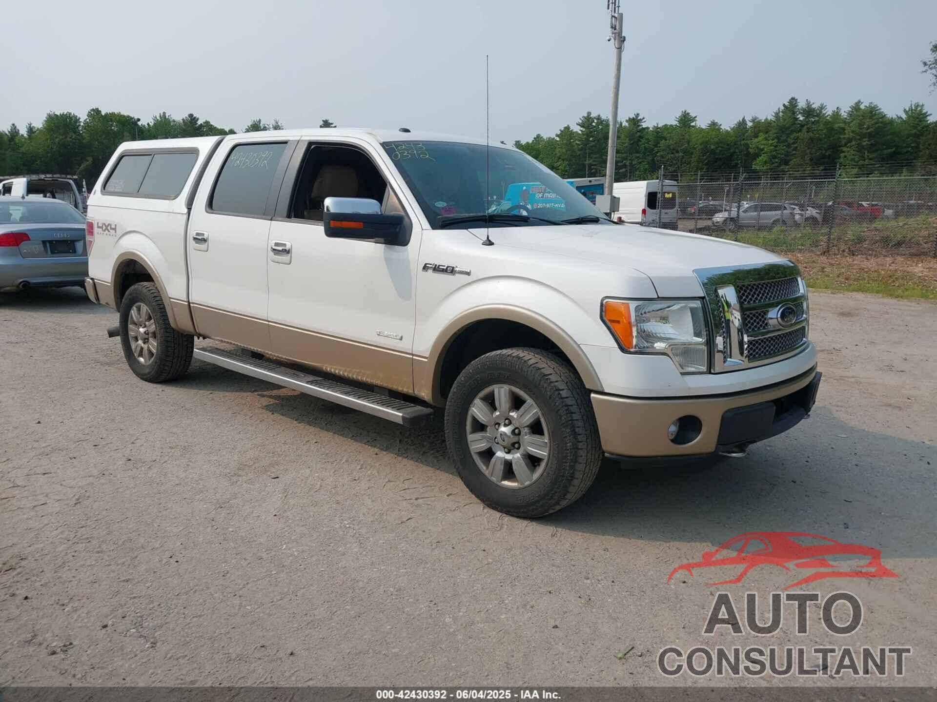 FORD F-150 2011 - 1FTFW1ET0BFB50725