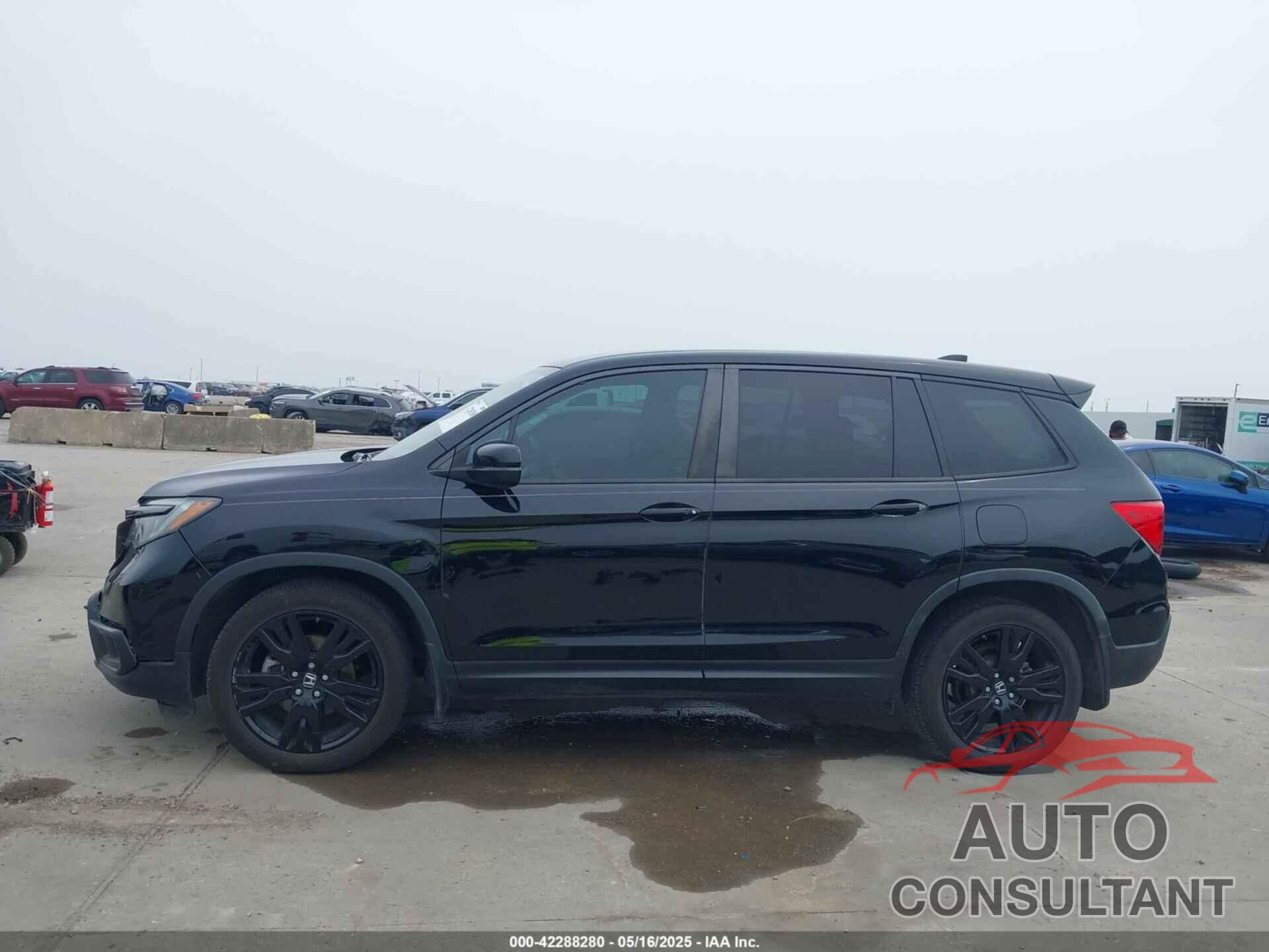HONDA PASSPORT 2019 - 5FNYF7H25KB008597