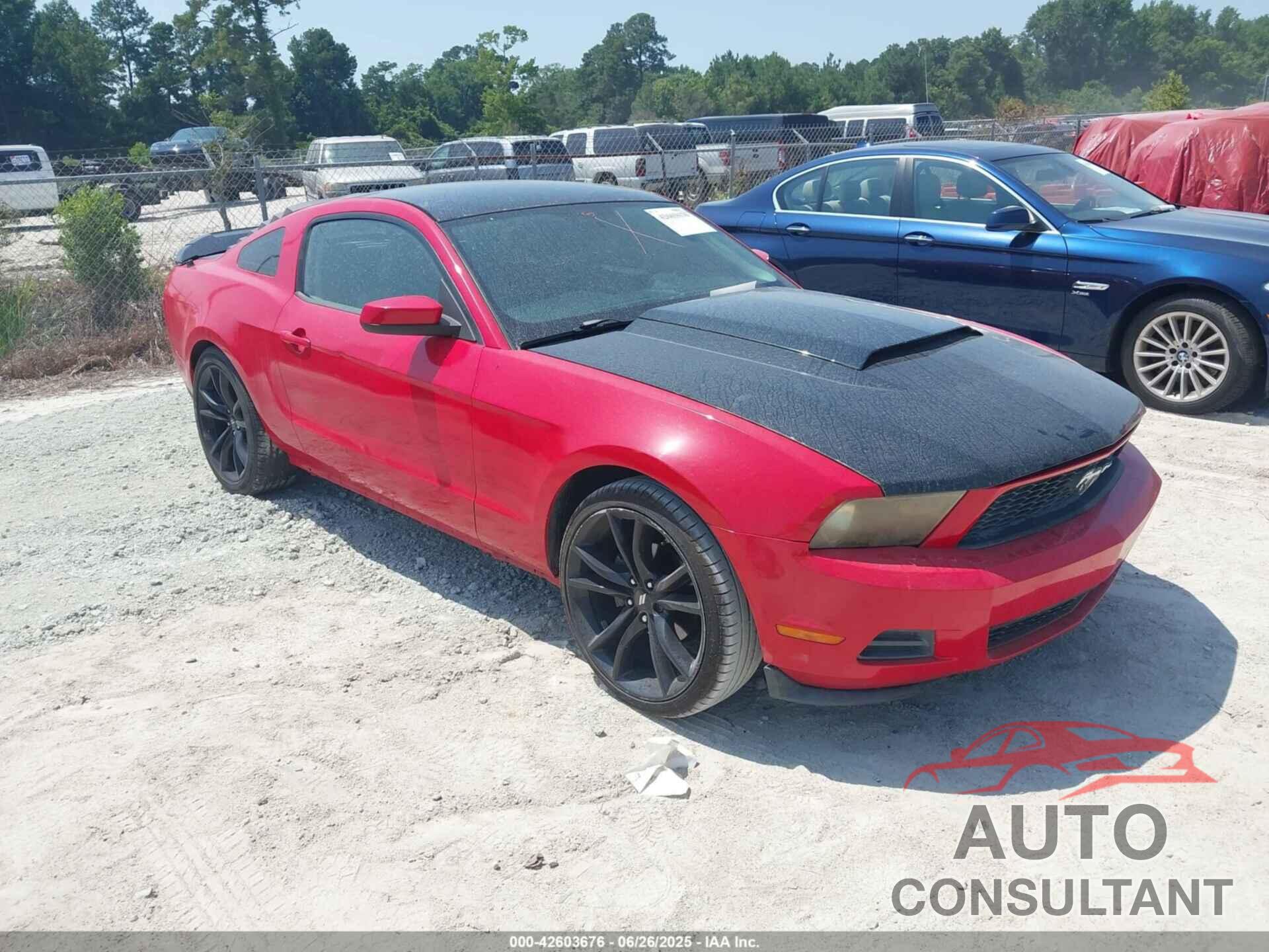FORD MUSTANG 2010 - 1ZVBP8AN1A5133297