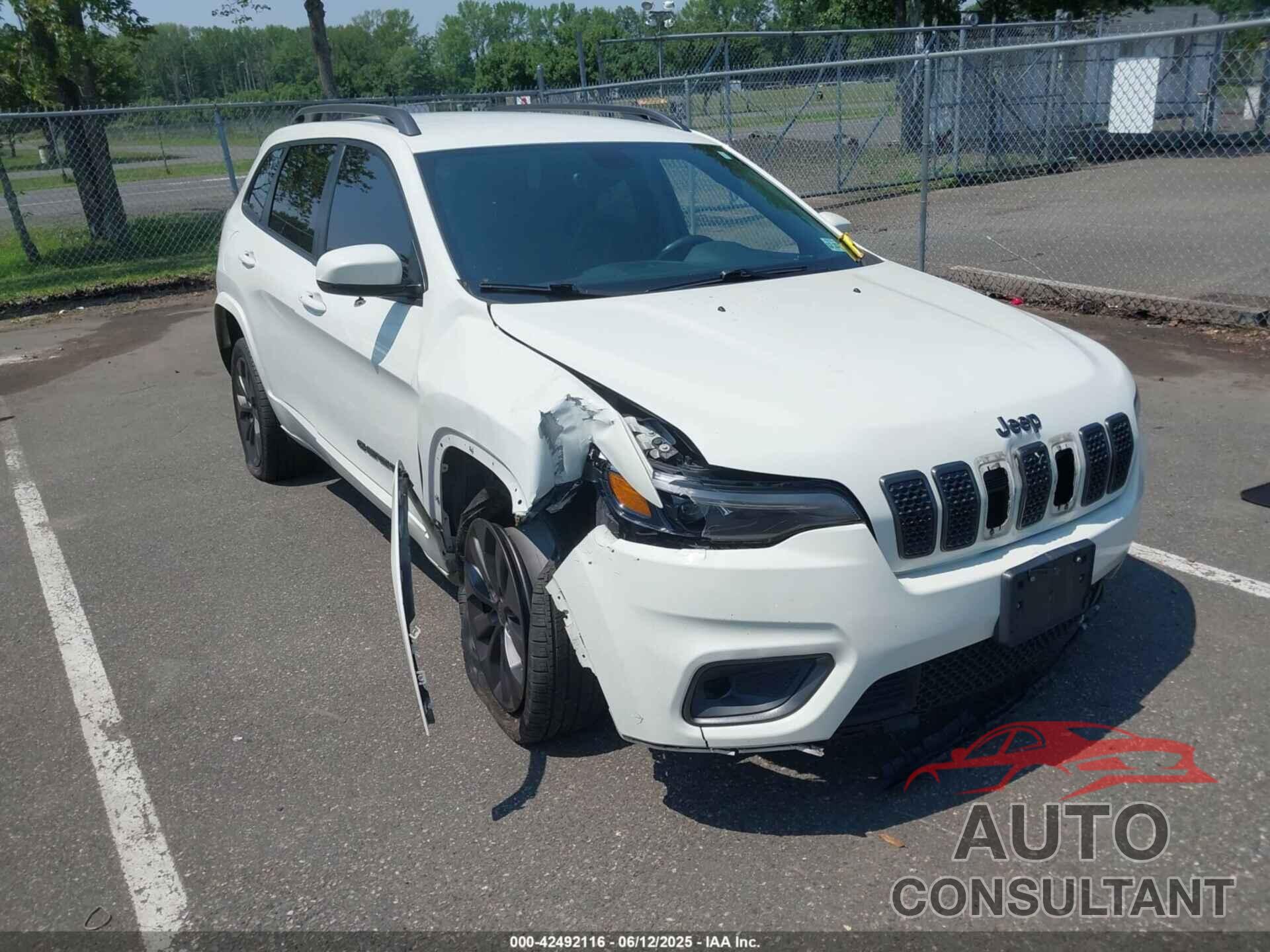 JEEP CHEROKEE 2019 - 1C4PJMDX7KD371114