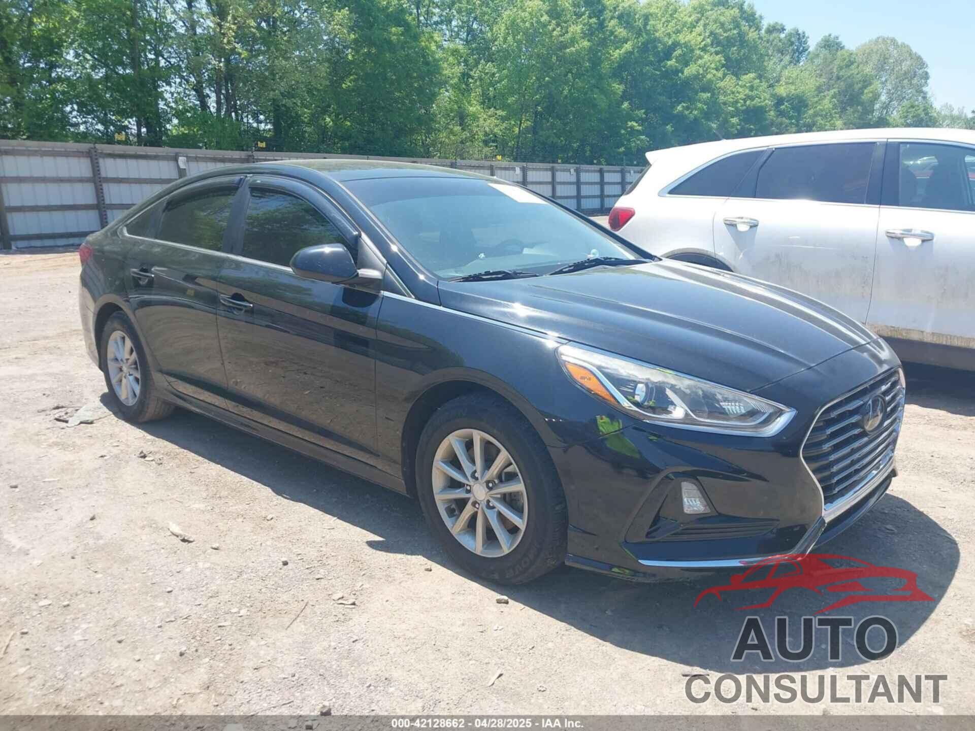 HYUNDAI SONATA 2019 - 5NPE24AF4KH754311