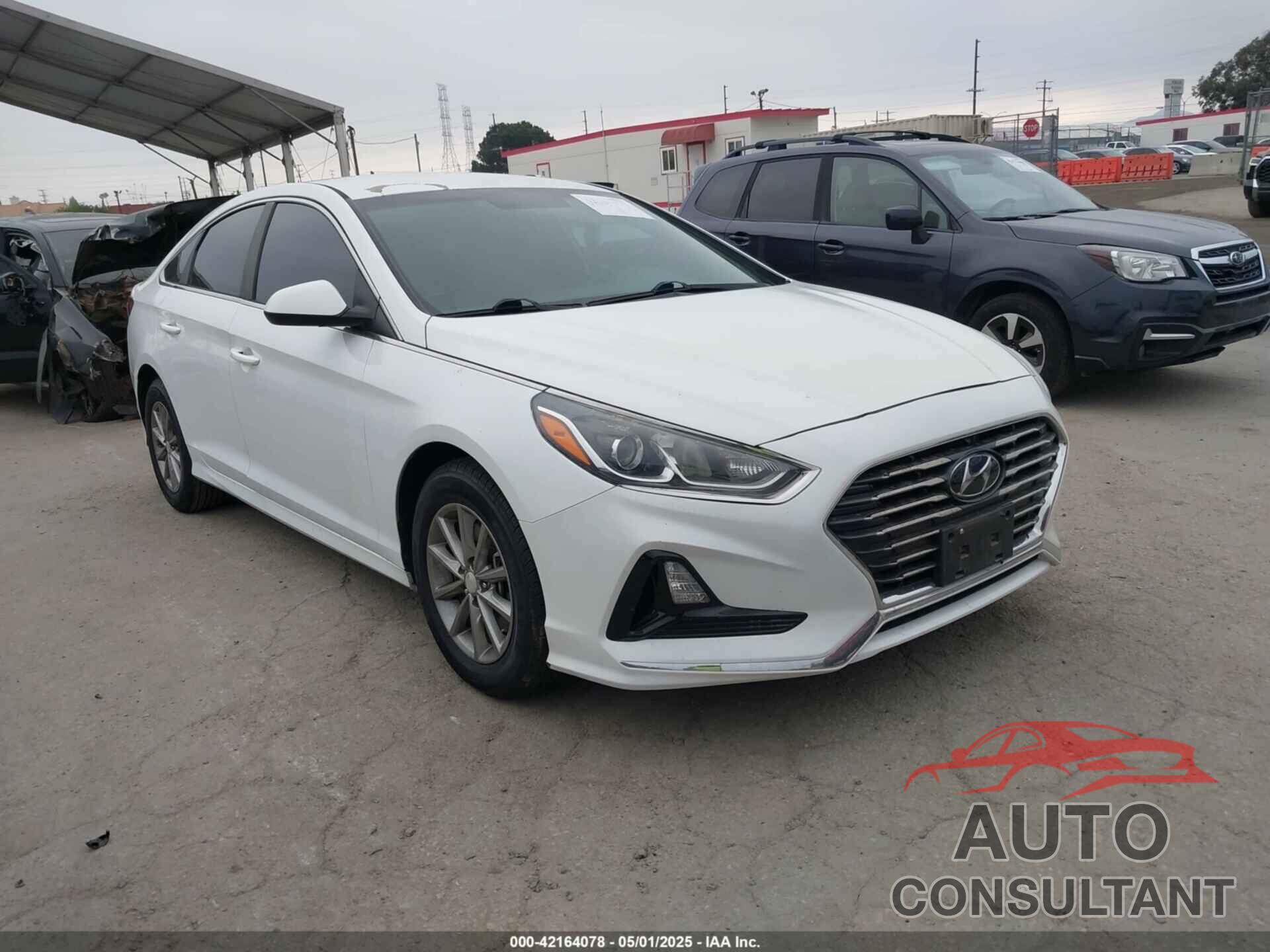 HYUNDAI SONATA 2019 - 5NPE24AF2KH753870