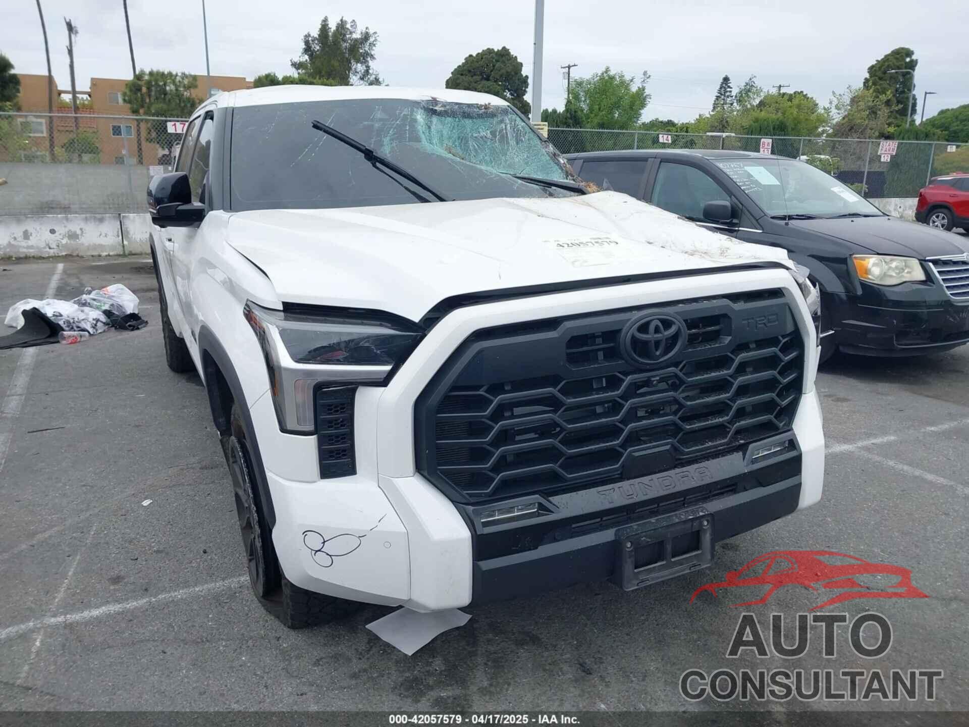 TOYOTA TUNDRA 2024 - 5TFWA5DB2RX156299