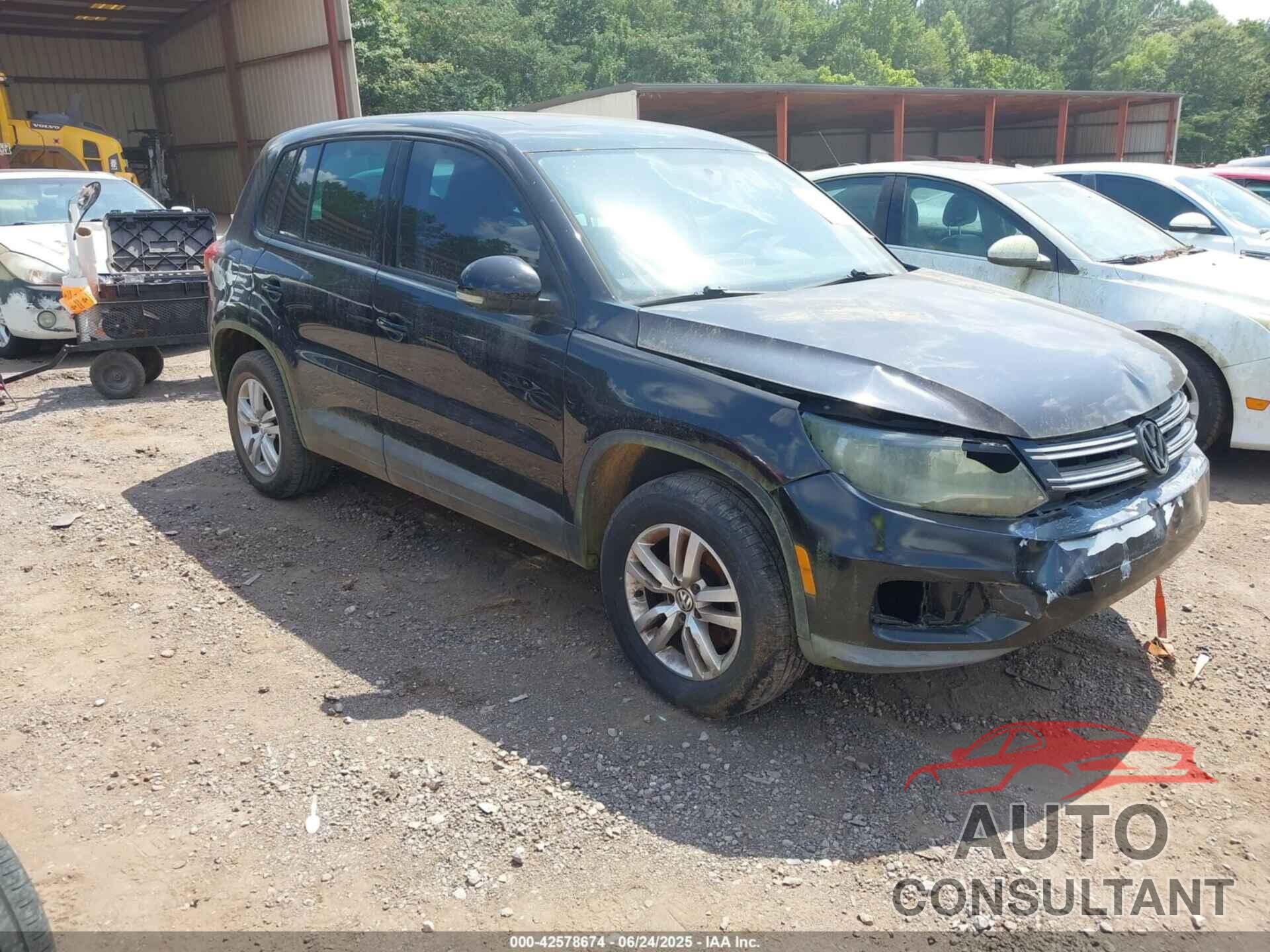 VOLKSWAGEN TIGUAN 2013 - WVGAV3AXXDW627340