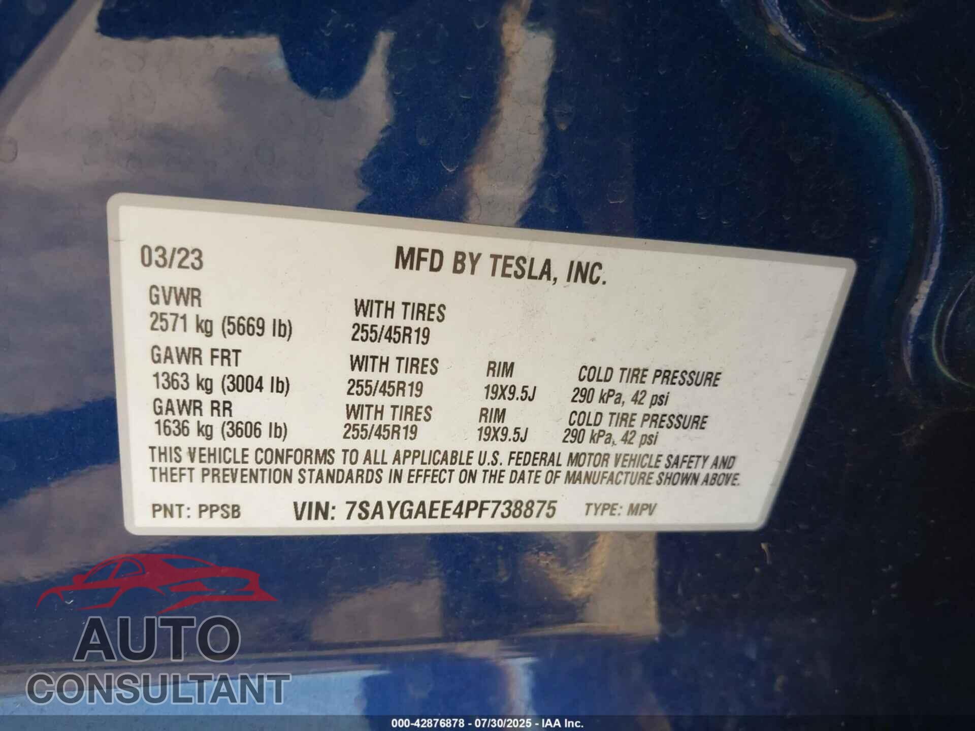 TESLA MODEL Y 2023 - 7SAYGAEE4PF738875
