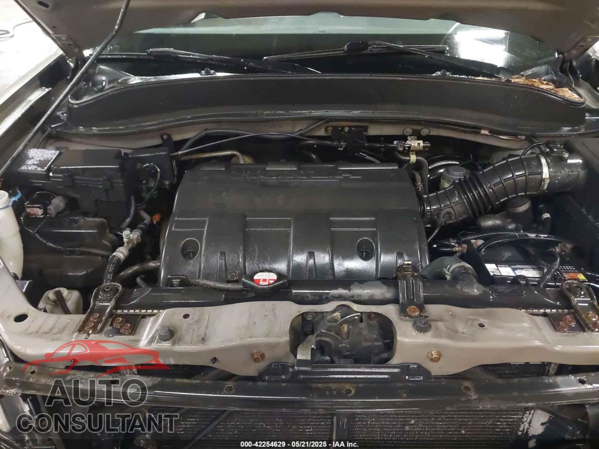 HONDA RIDGELINE 2010 - 5FPYK1F59AB012955