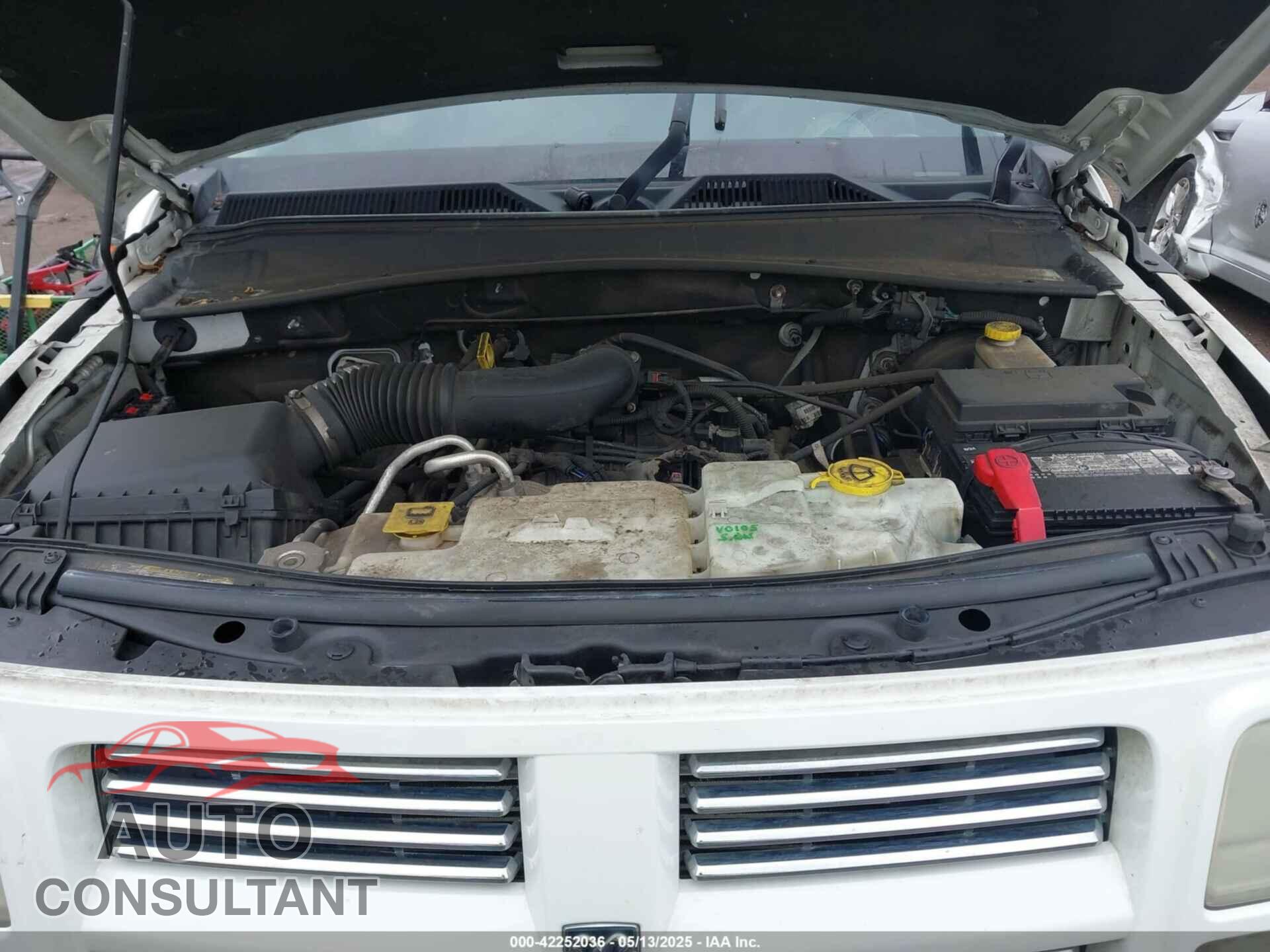 DODGE NITRO 2011 - 1D4PU4GK7BW598432