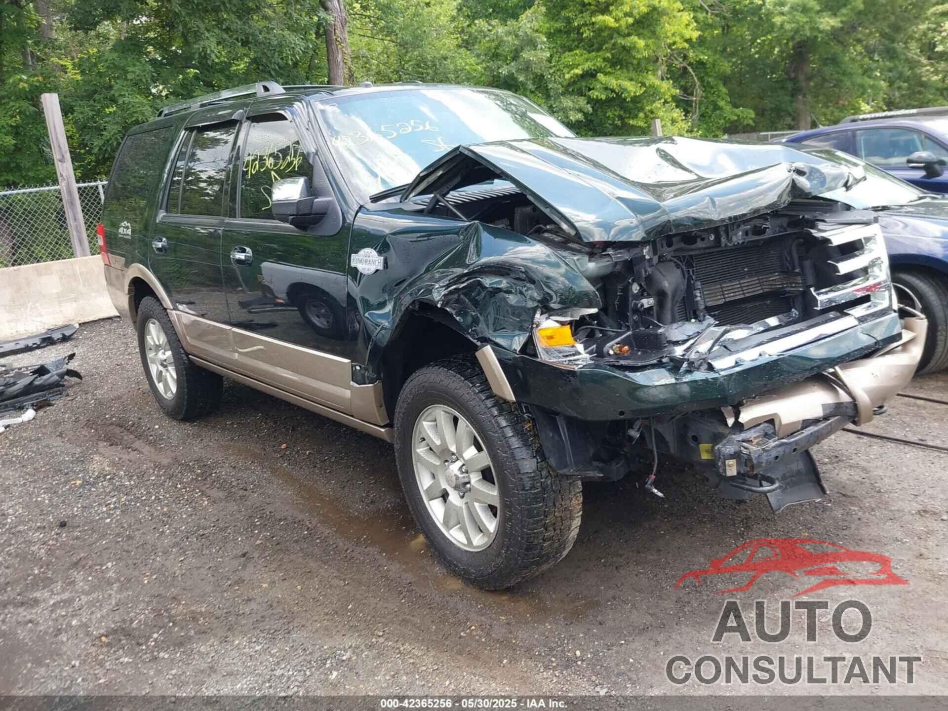 FORD EXPEDITION 2013 - 1FMJU1J5XDEF61142