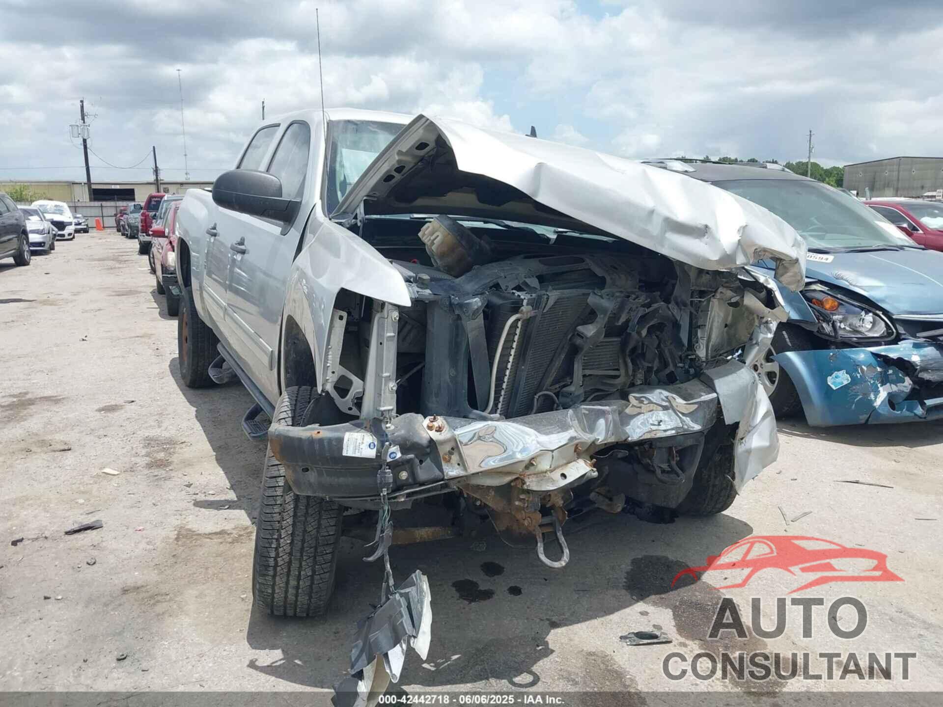 CHEVROLET SILVERADO 1500 2010 - 3GCRKSE3XAG266817