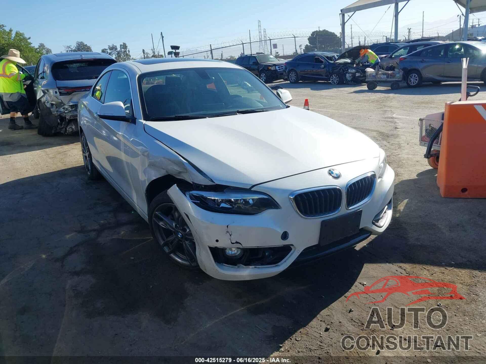 BMW 228I 2016 - WBA1F9C59GV545980