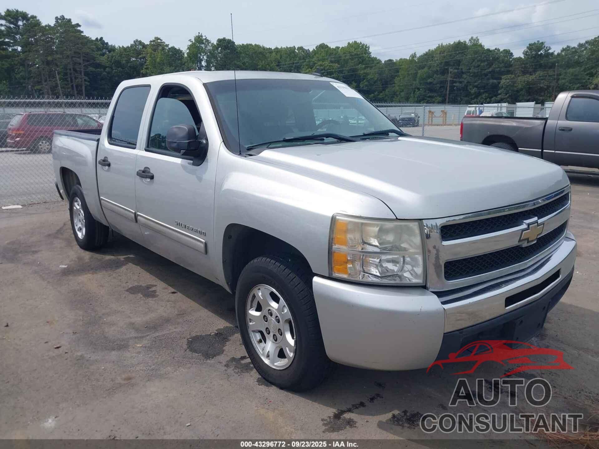 CHEVROLET SILVERADO 1500 2010 - 3GCRCREA9AG256106