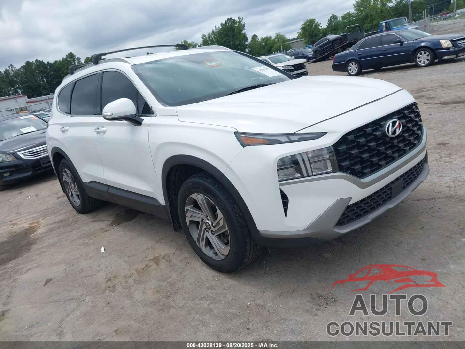 HYUNDAI SANTA FE 2023 - 5NMS24AJ3PH566617