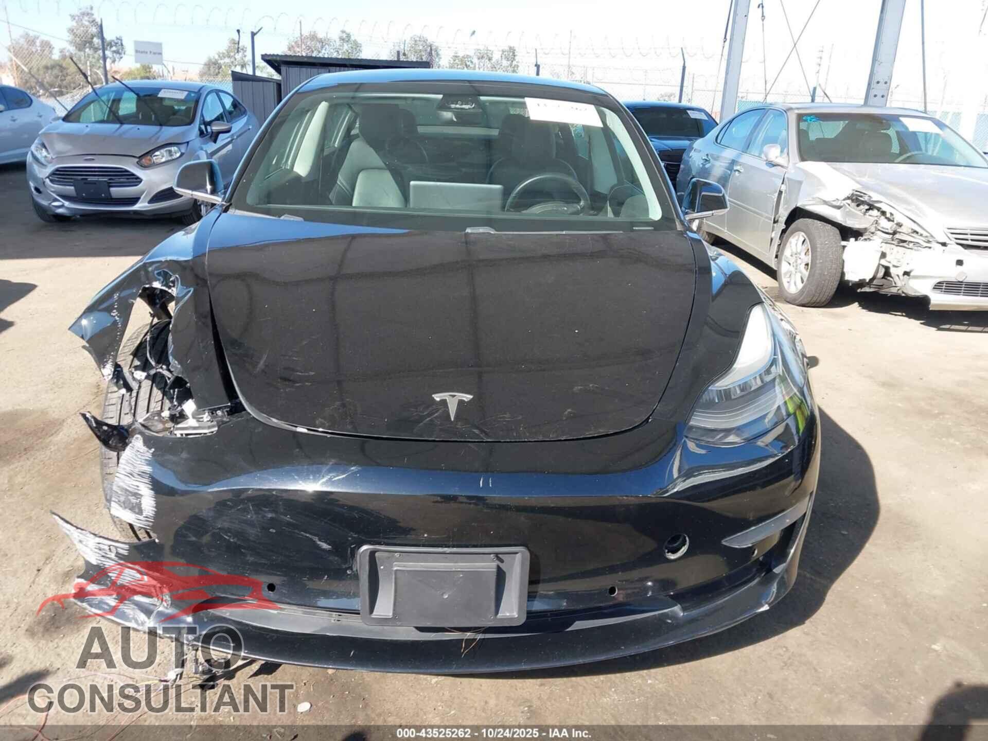 TESLA MODEL 3 2019 - 5YJ3E1EA3KF316809