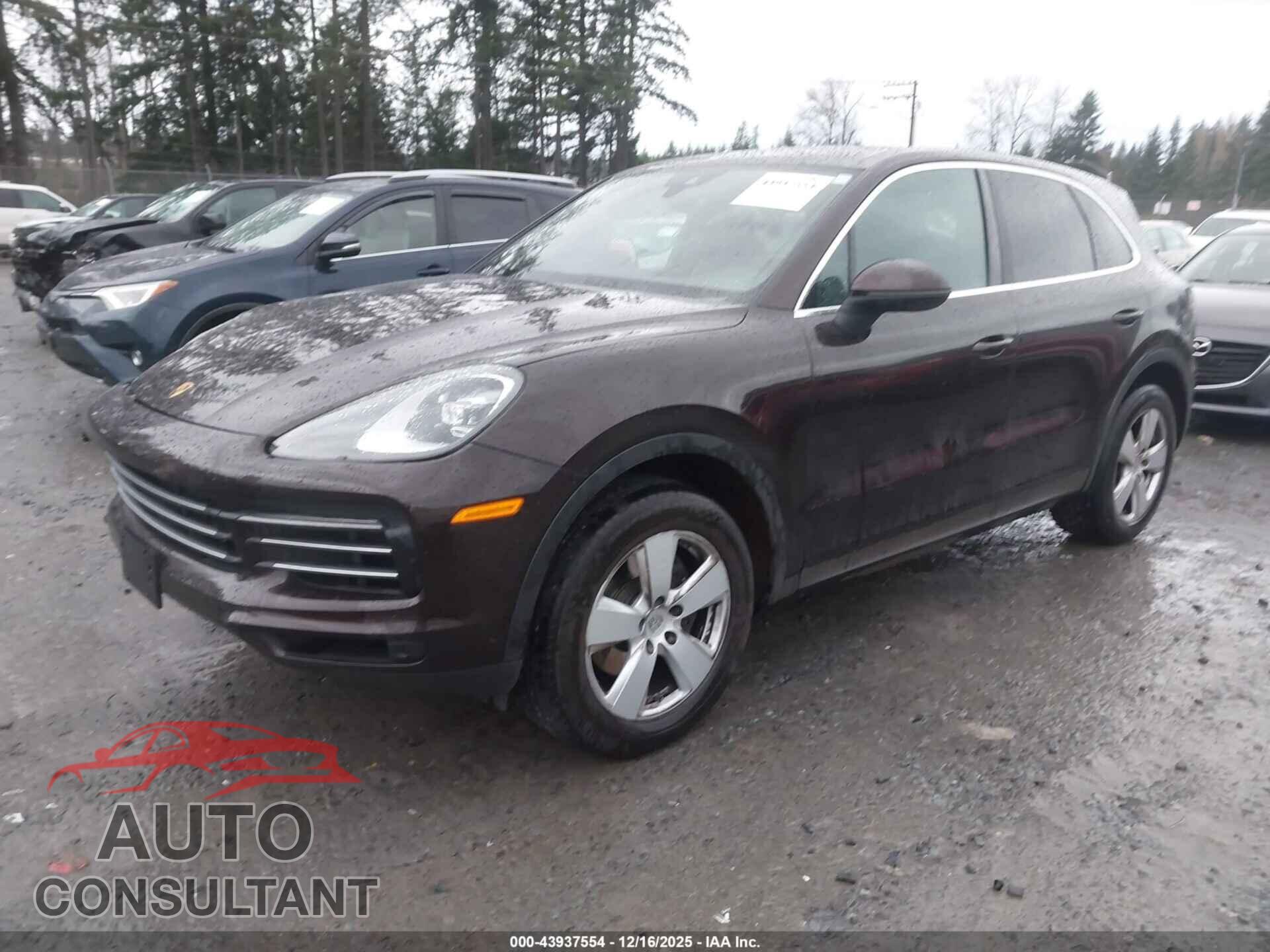 PORSCHE CAYENNE 2019 - WP1AA2AY9KDA01840