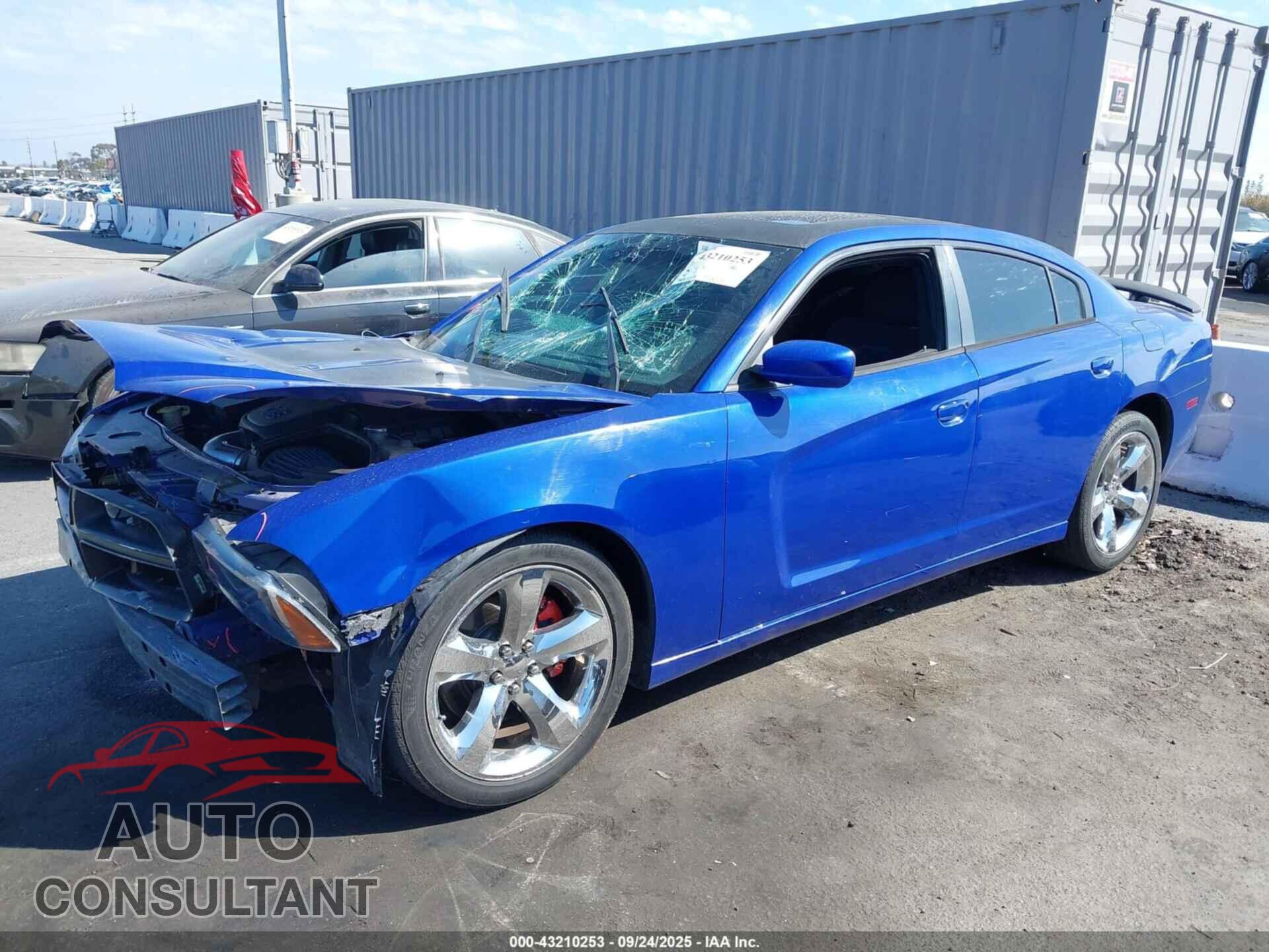DODGE CHARGER 2013 - 2C3CDXCT7DH646965