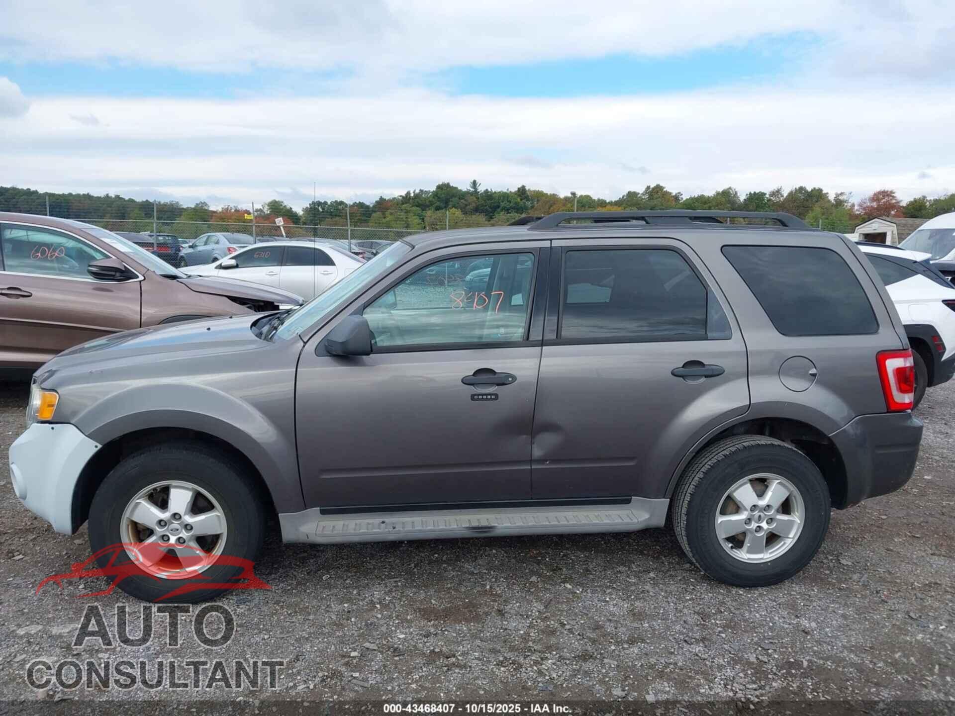 FORD ESCAPE 2010 - 1FMCU0D70AKB56629