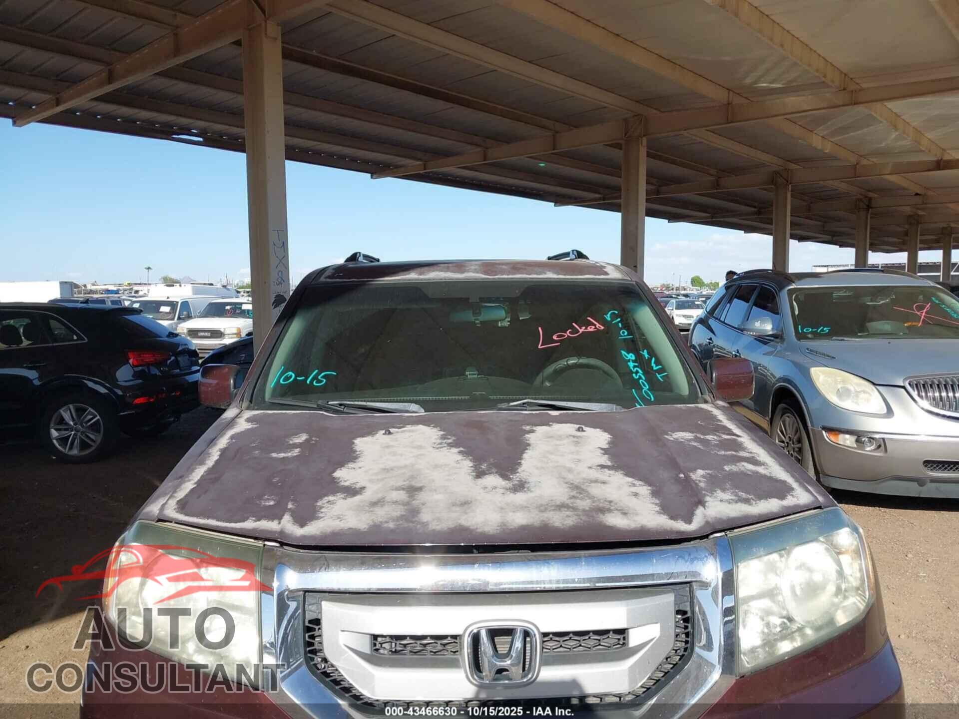 HONDA PILOT 2011 - 5FNYF4H4XBB005548