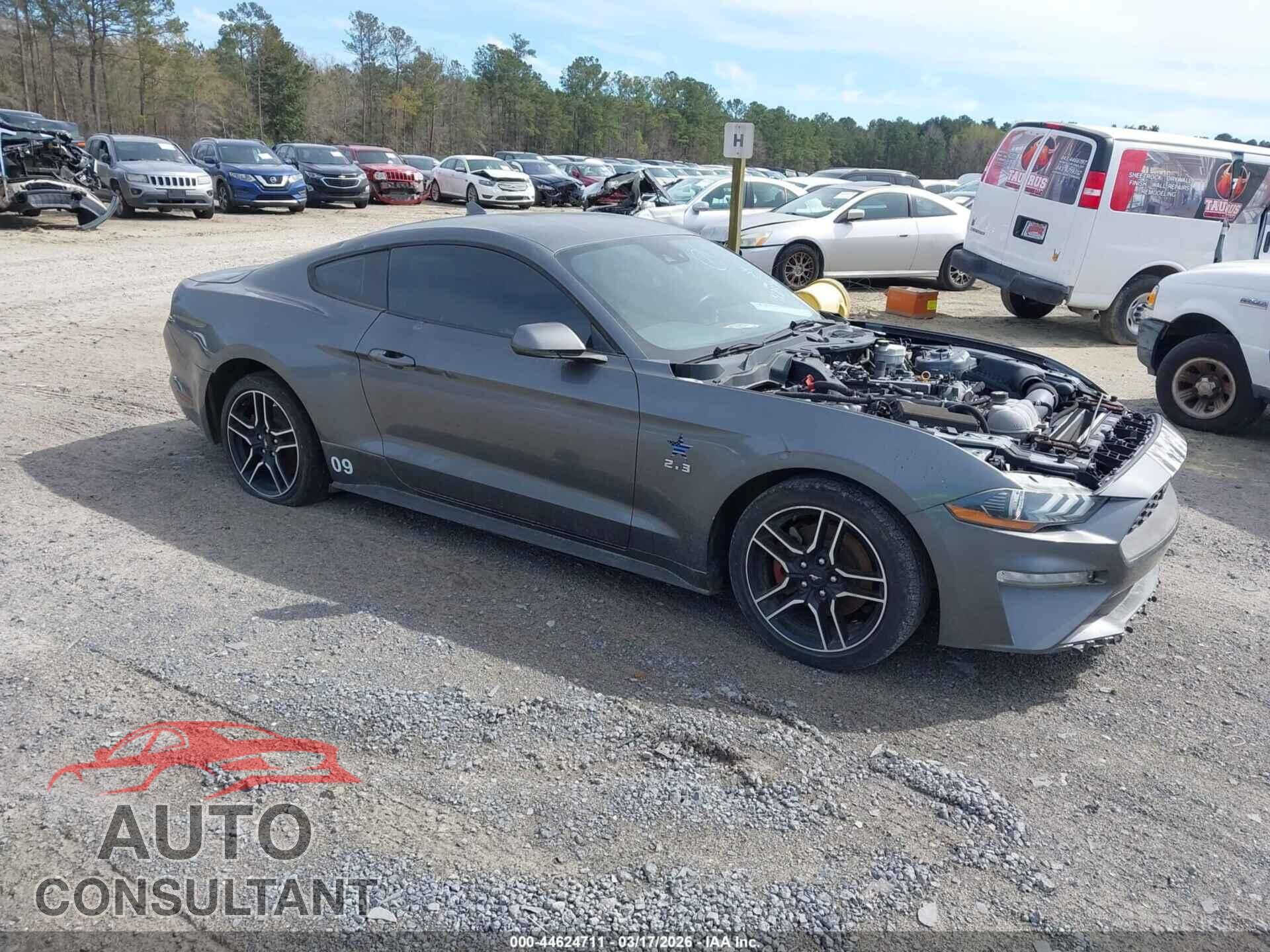 FORD MUSTANG 2021 - 1FA6P8TH8M5151446