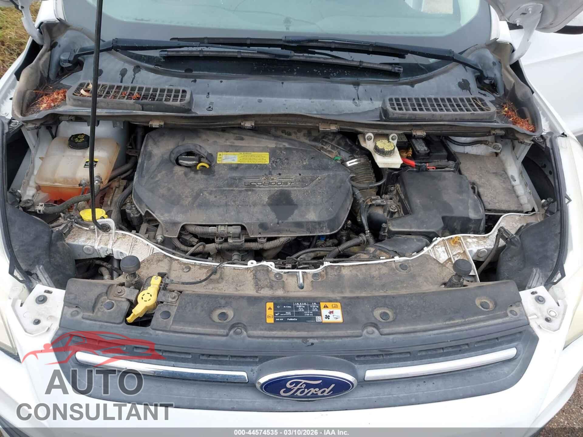 FORD ESCAPE 2013 - 1FMCU9GX1DUD19975