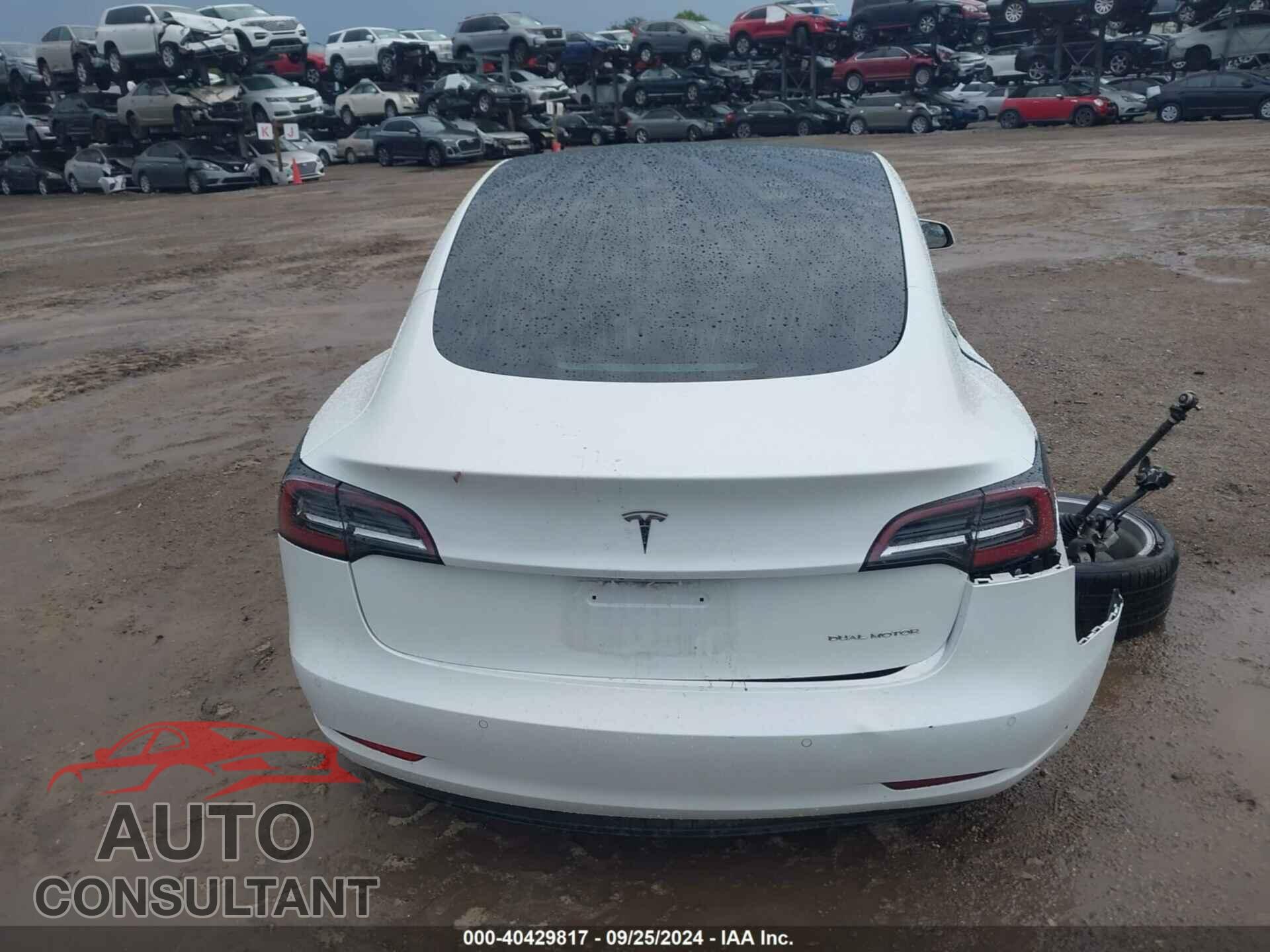 TESLA MODEL 3 2019 - 5YJ3E1EB4KF195524