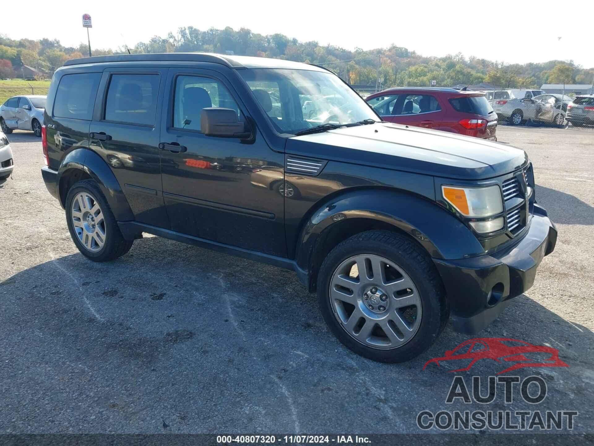 DODGE NITRO 2011 - 1D4PU4GKXBW554411