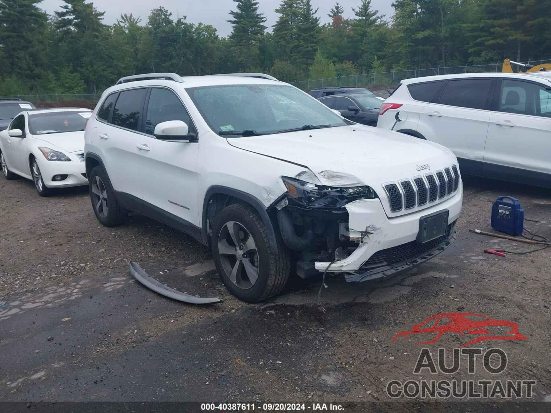 JEEP CHEROKEE 2019 - 1C4PJMDX8KD359618