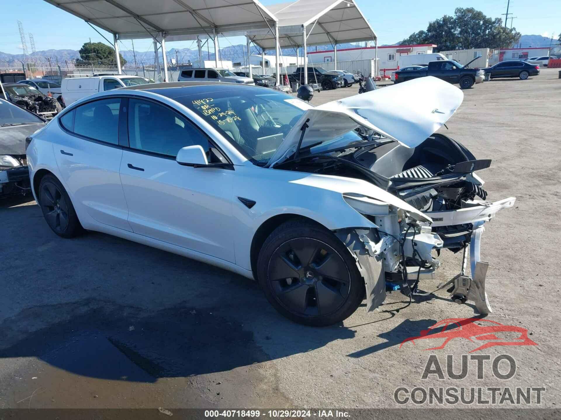 TESLA MODEL 3 2021 - 5YJ3E1EA0MF017491