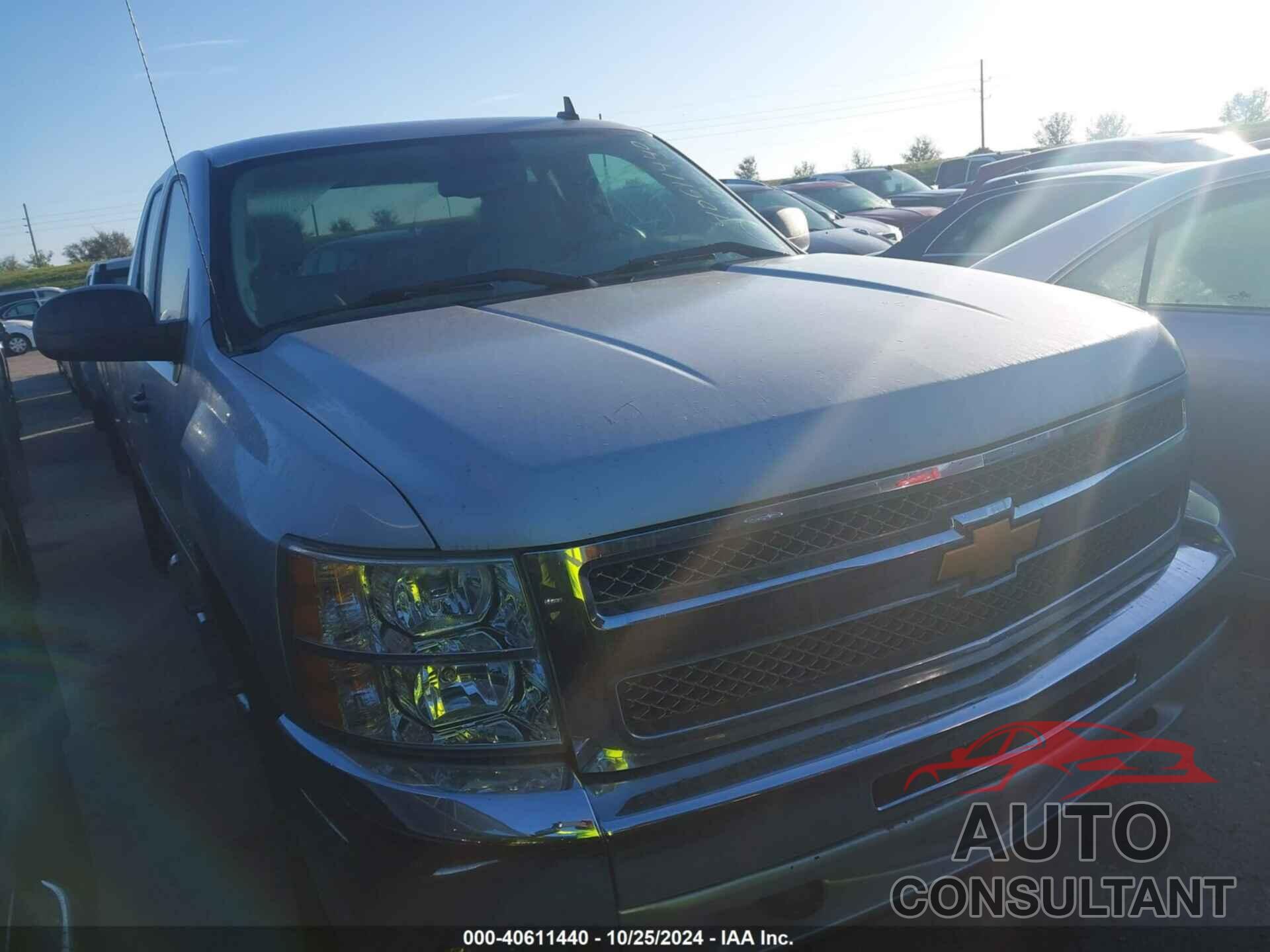CHEVROLET SILVERADO 1500 2013 - 1GCRKSE75DZ401967