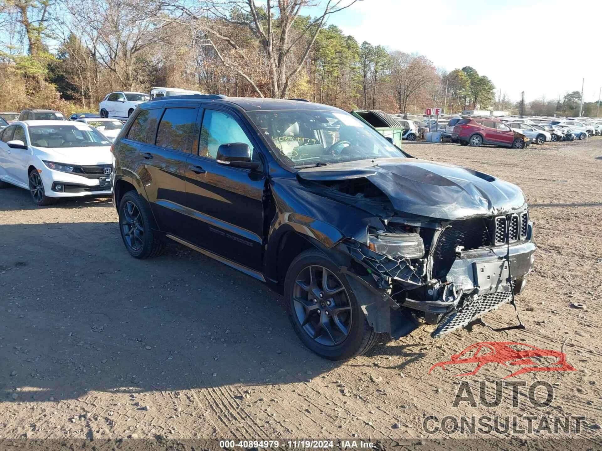 JEEP GRAND CHEROKEE 2019 - 1C4RJFBGXKC627842