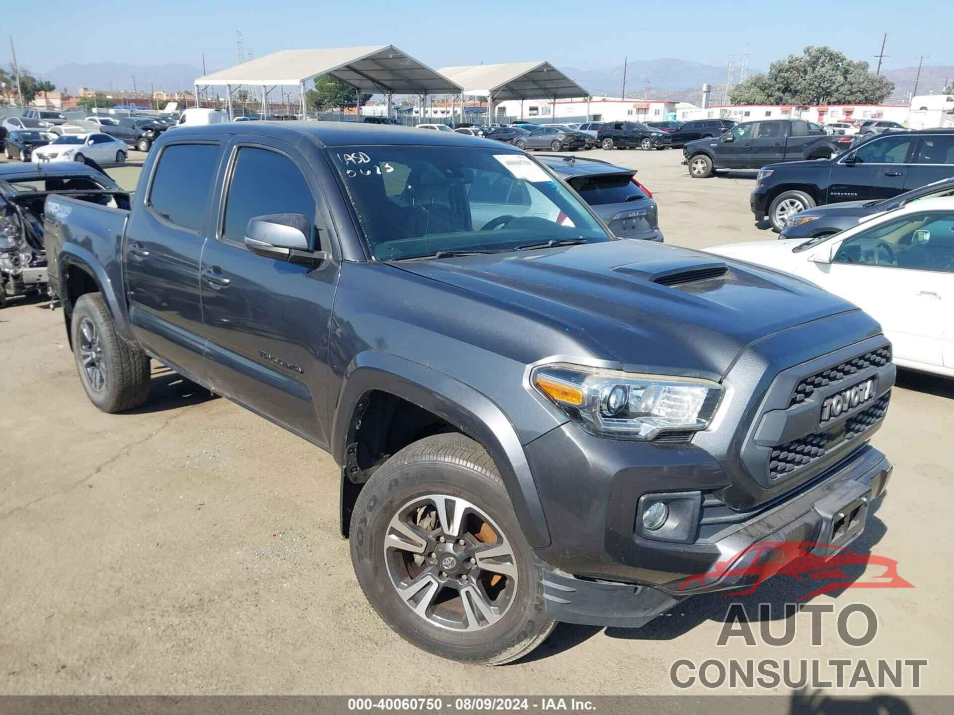 TOYOTA TACOMA 2019 - 3TMCZ5AN5KM234239