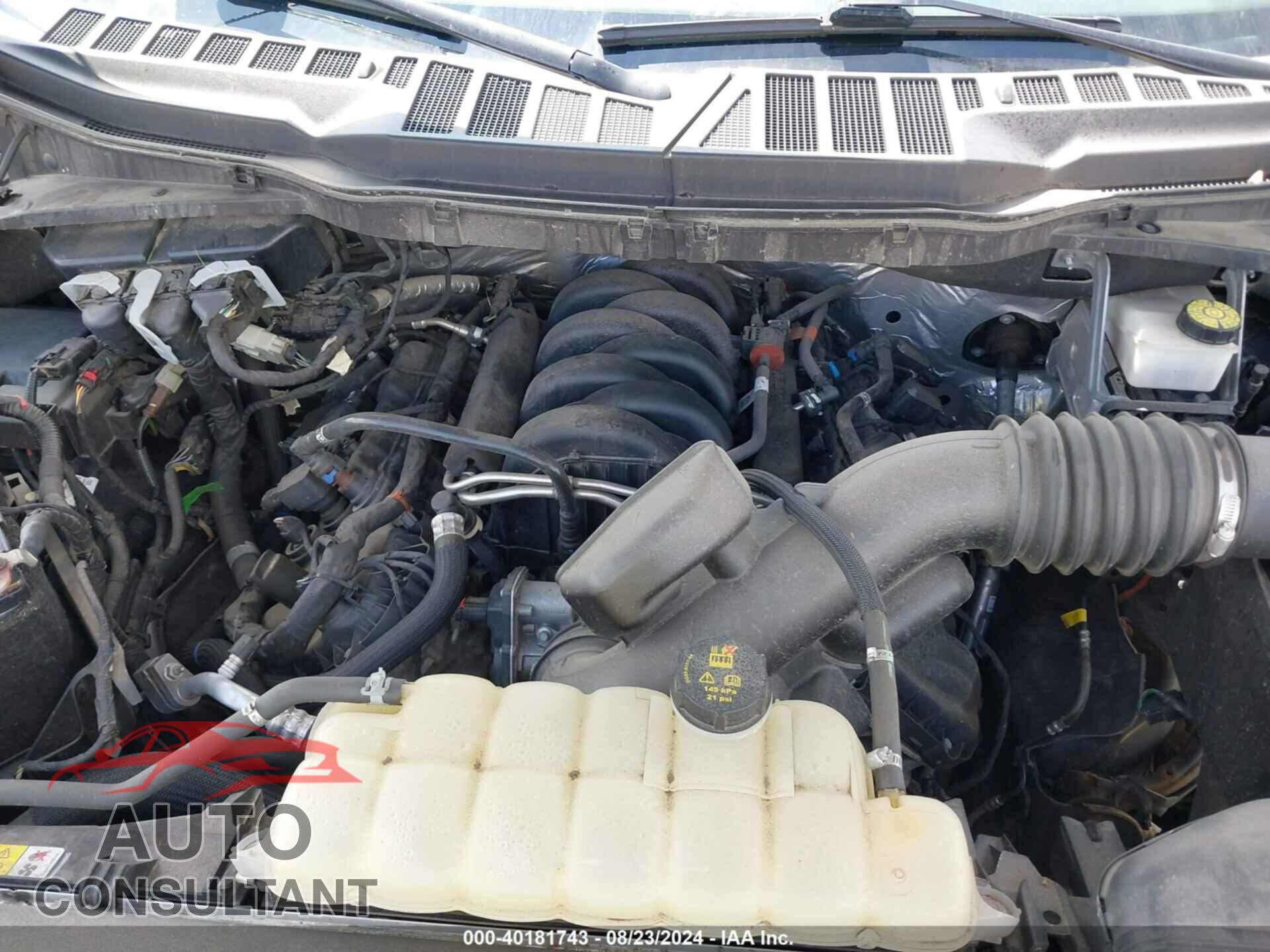 FORD F-150 2021 - 1FTFW1E5XMFB76642
