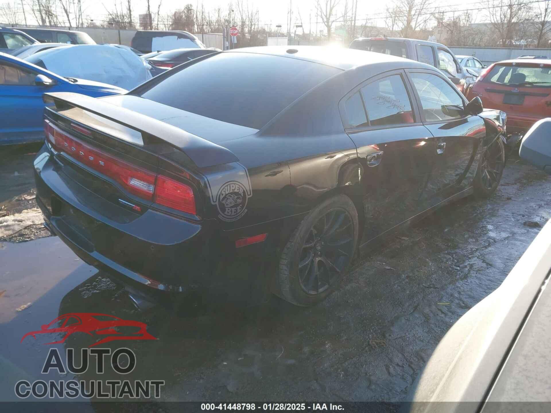 DODGE CHARGER 2013 - 2C3CDXGJ3DH550226