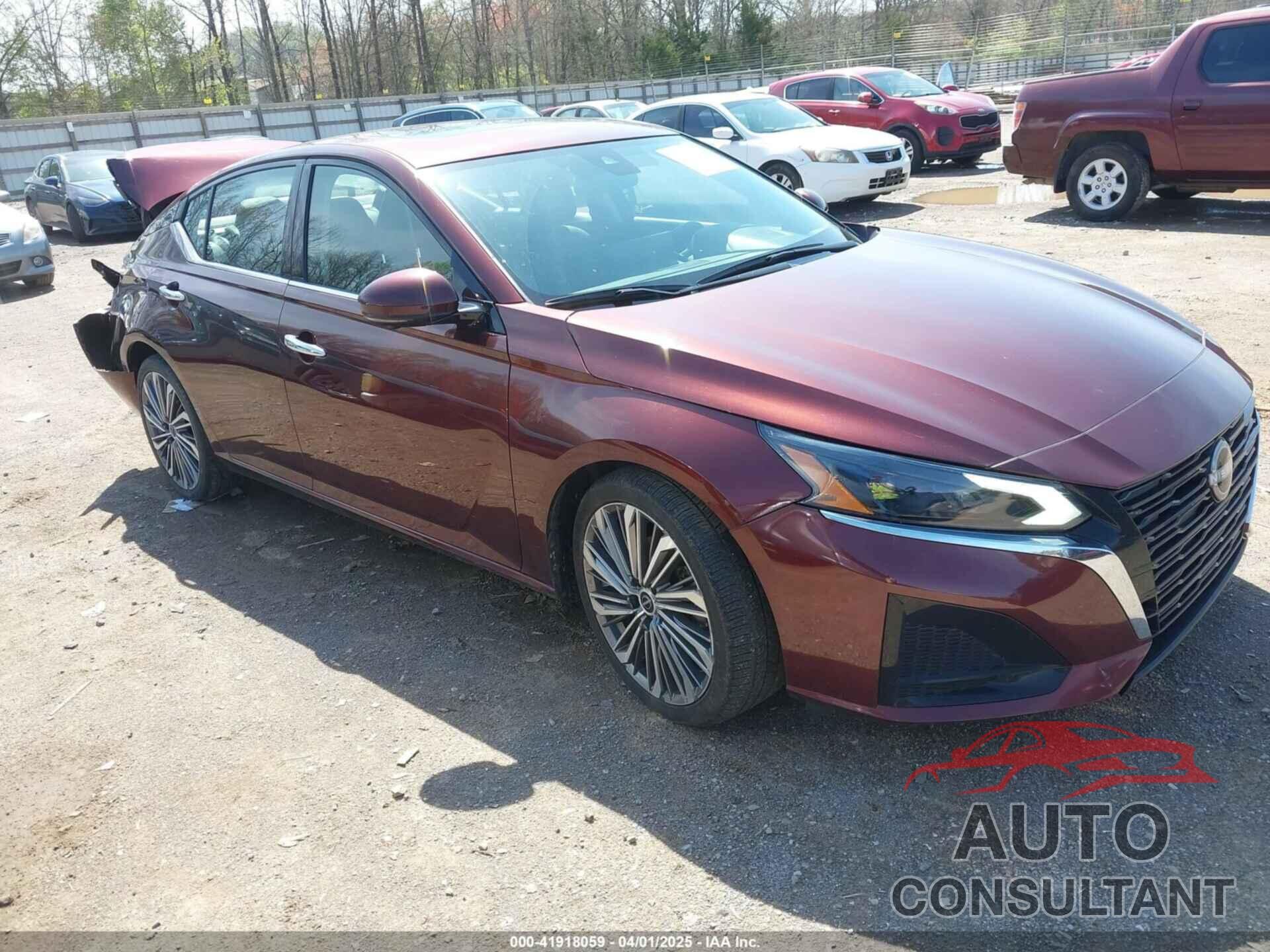 NISSAN ALTIMA 2023 - 1N4BL4EVXPN320800