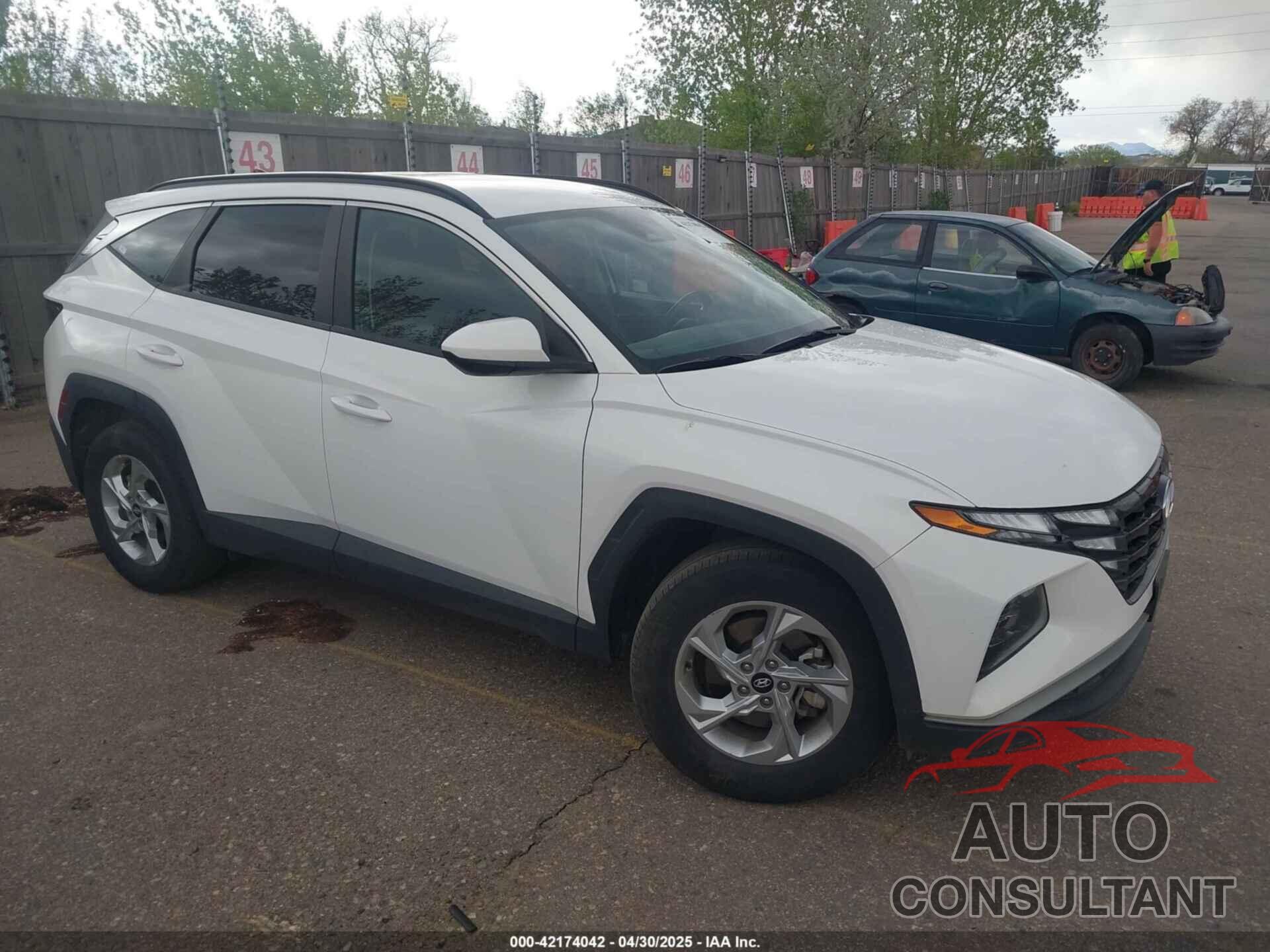 HYUNDAI TUCSON 2024 - 5NMJBCDE2RH362446